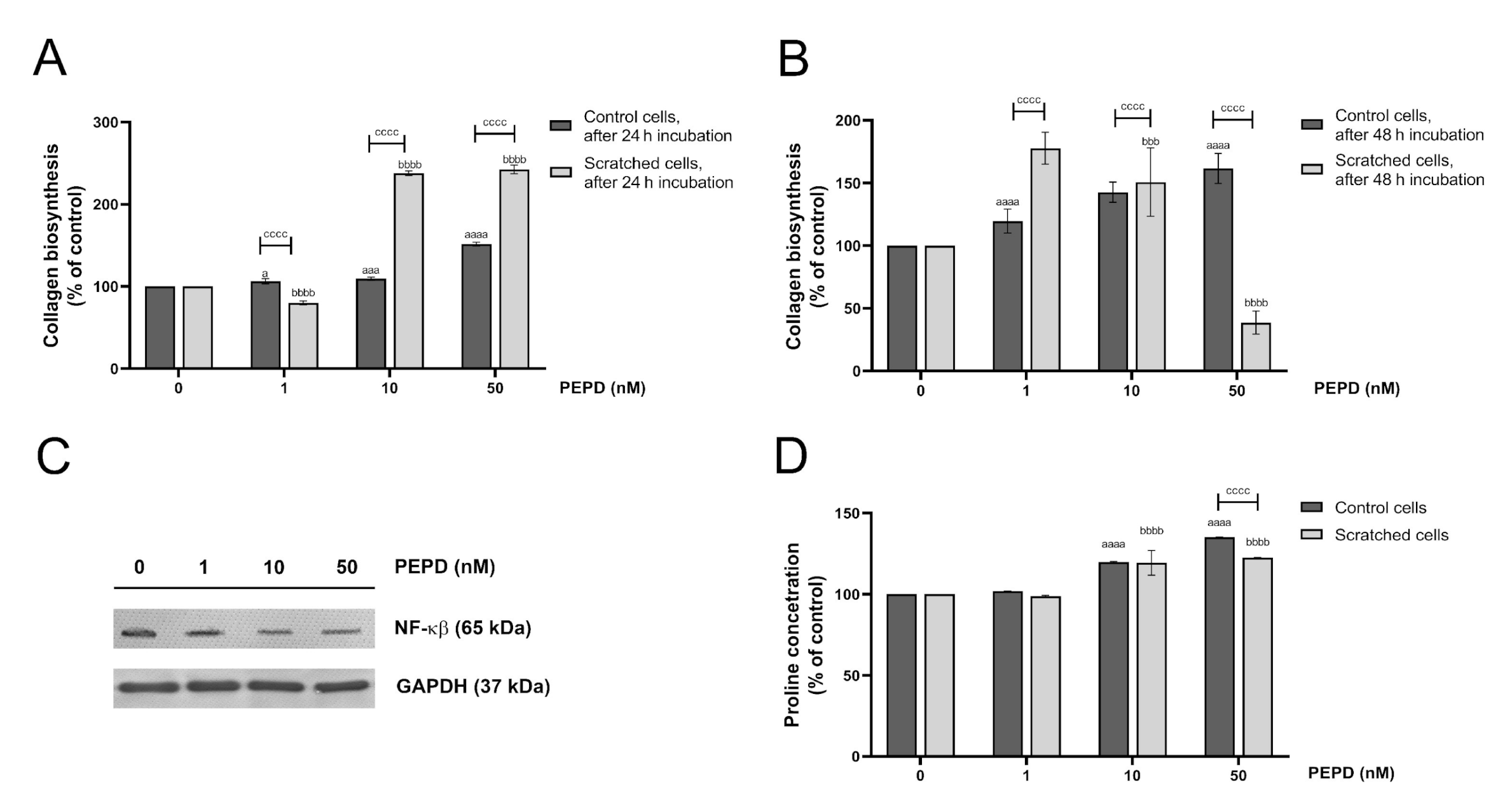 Ijms 21 09243 g009 Ijms 21 09243 g009