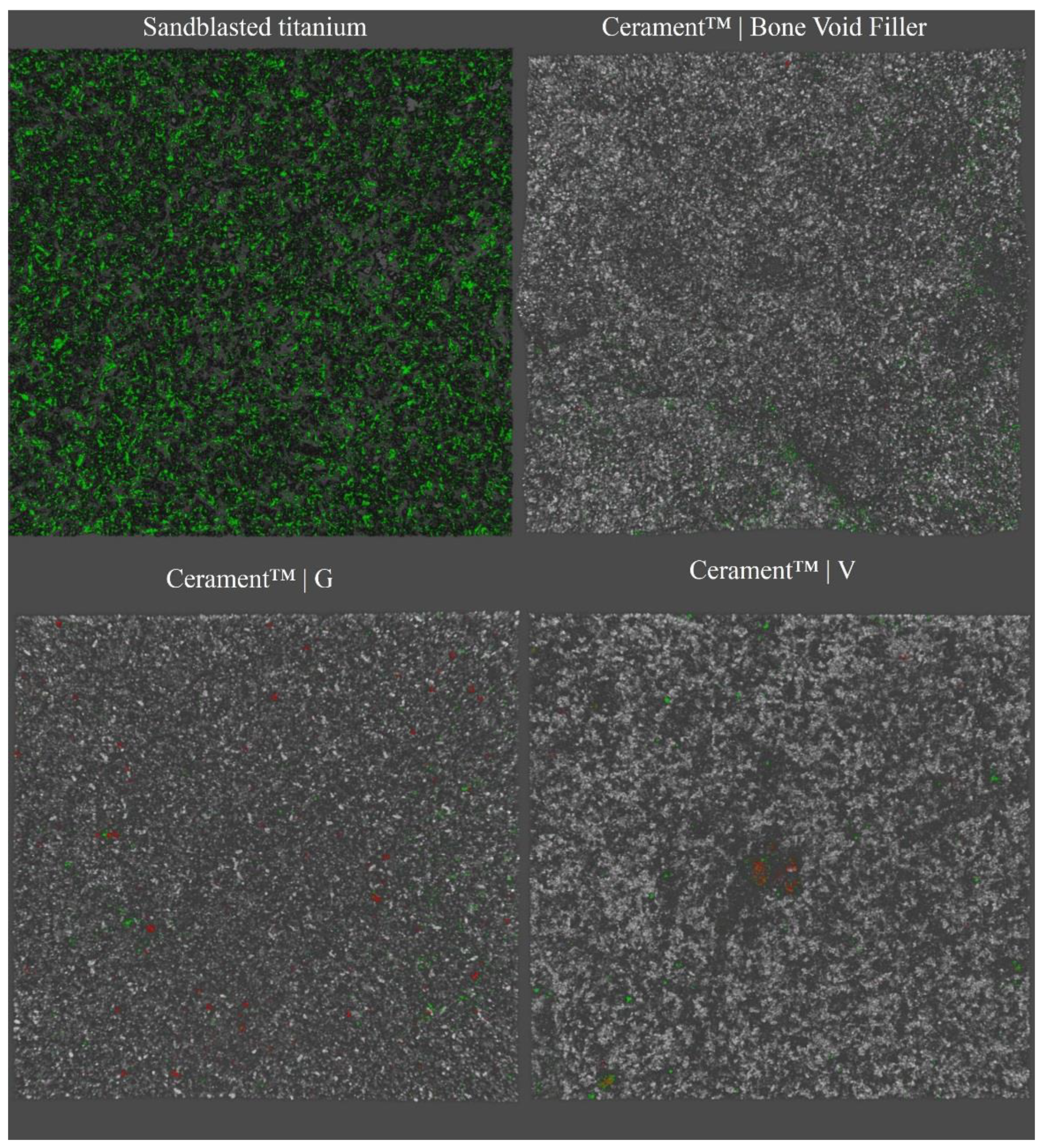 Ijms 21 09250 g003 Ijms 21 09250 g003