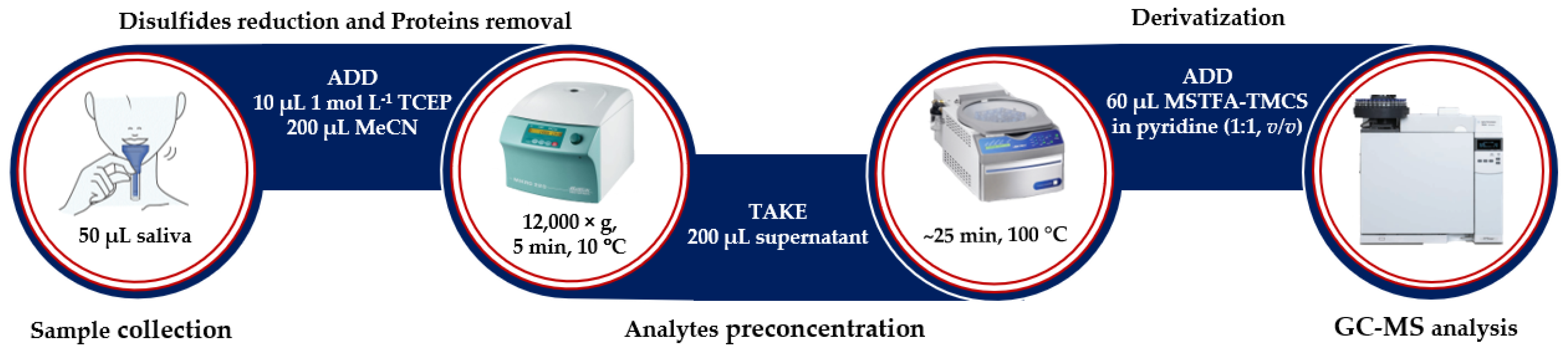 Ijms 21 09252 g006 Ijms 21 09252 g006