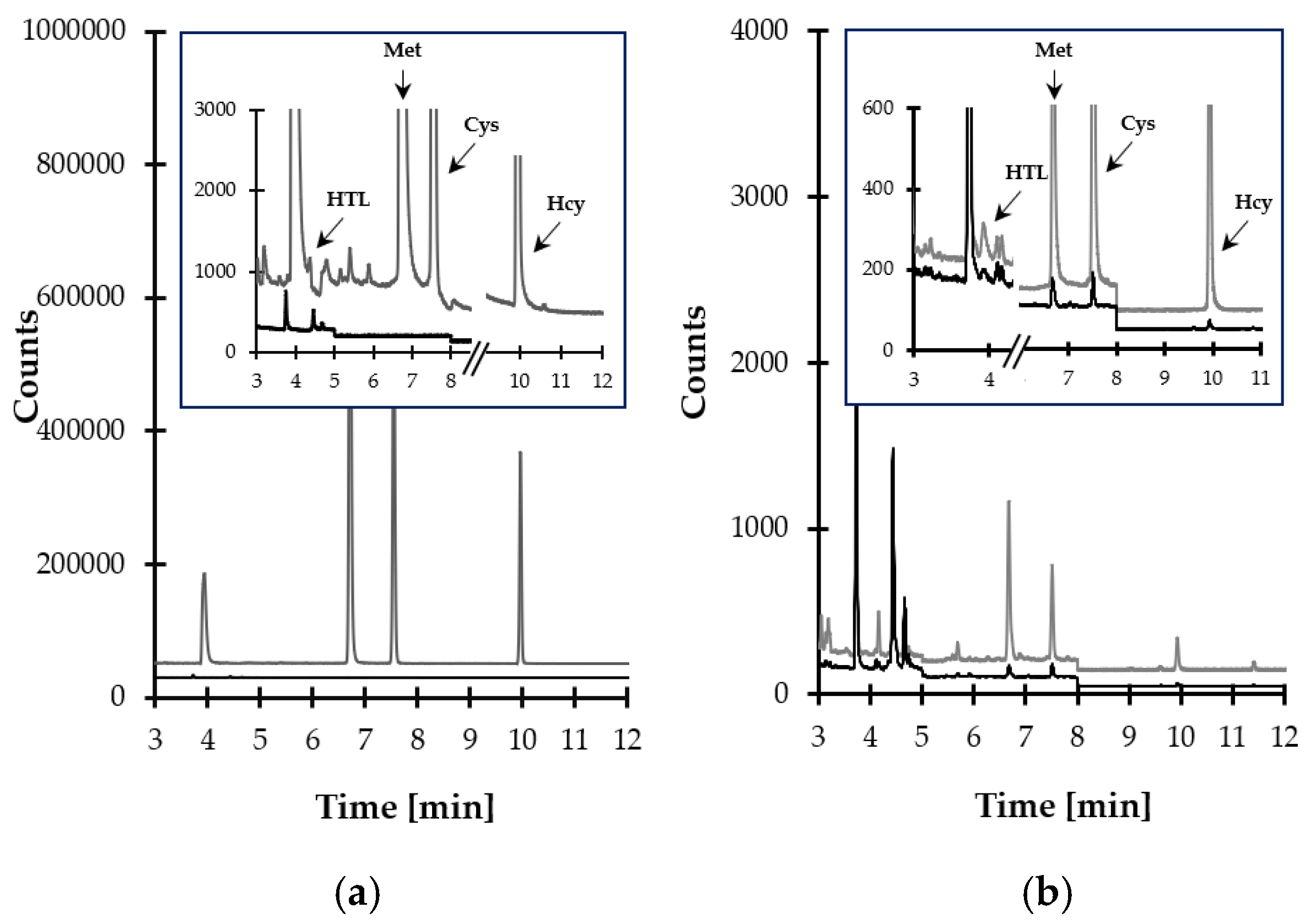 Ijms 21 09252 g007 Ijms 21 09252 g007