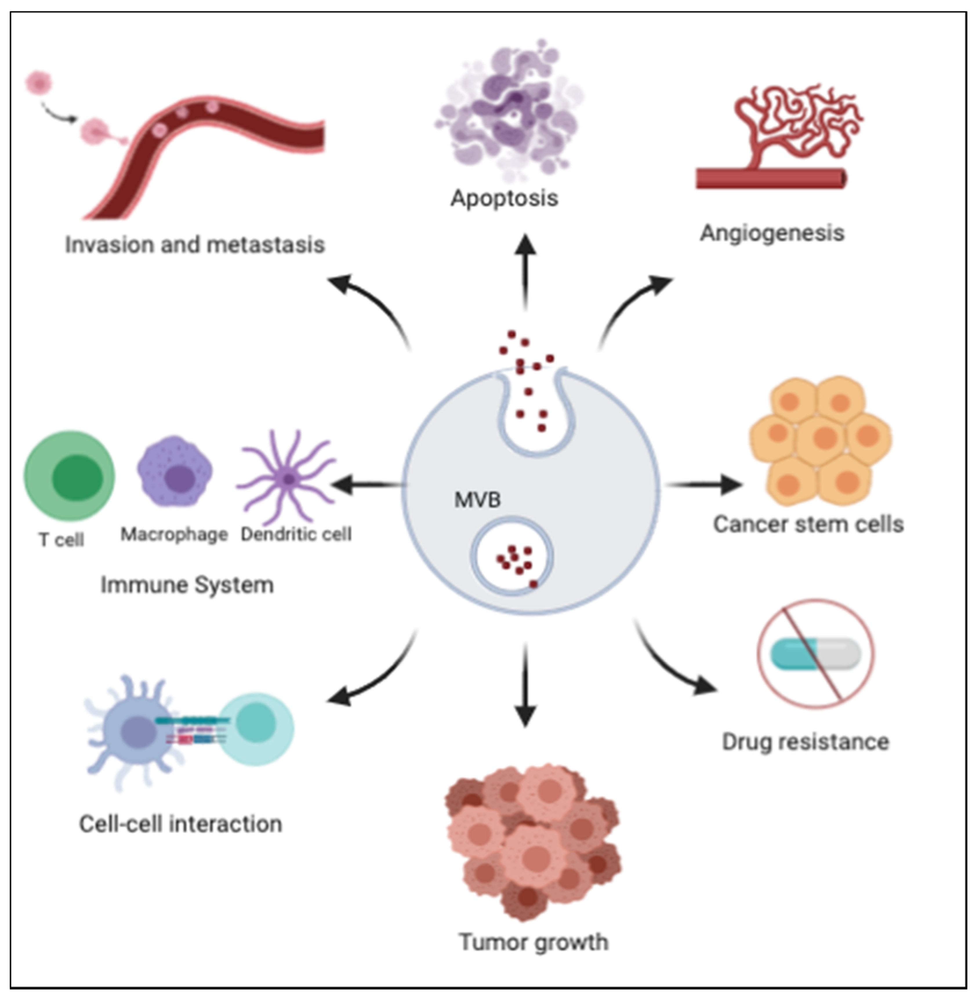 Ijms 21 09264 g002 Ijms 21 09264 g002