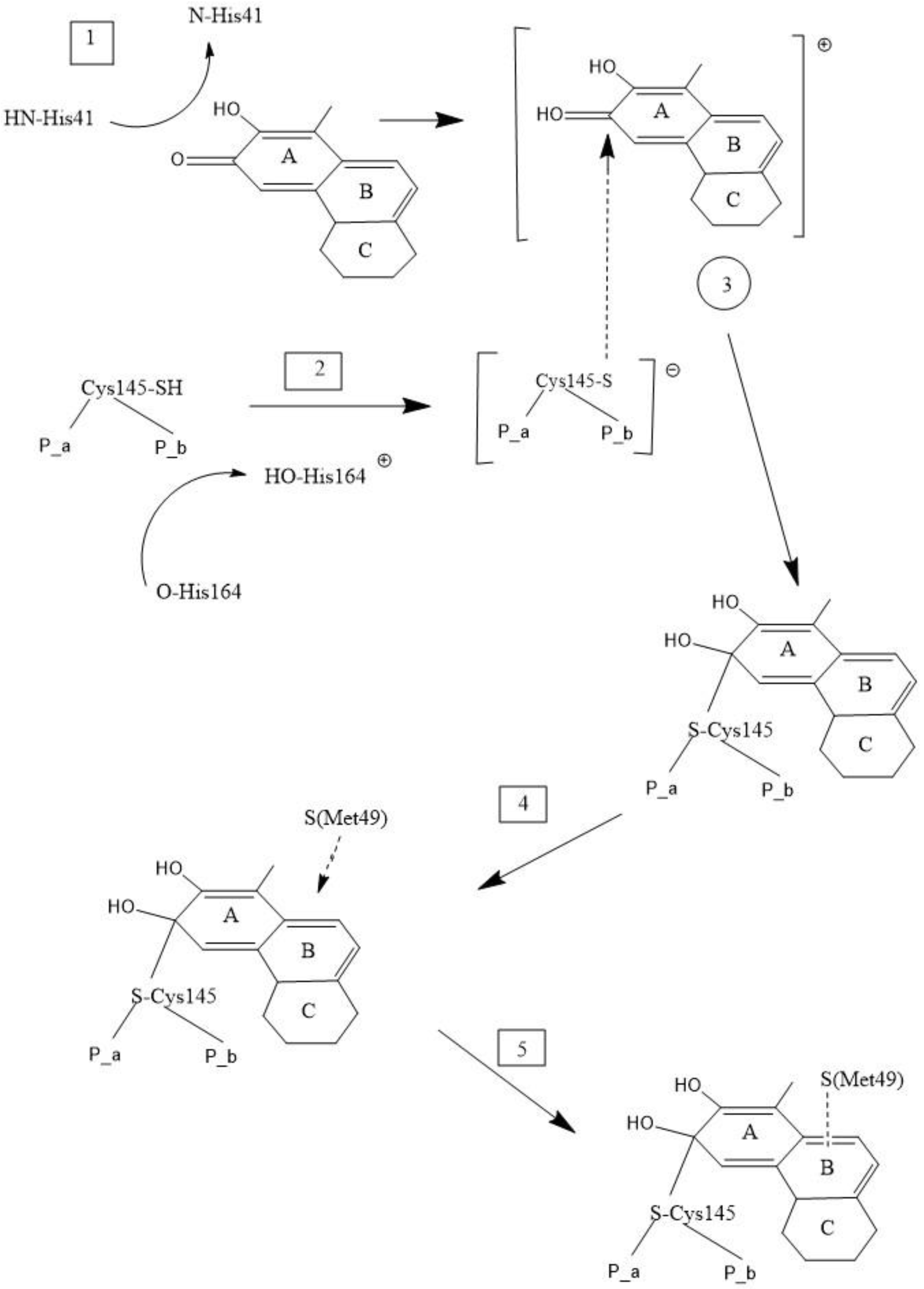 Ijms 21 09266 sch002