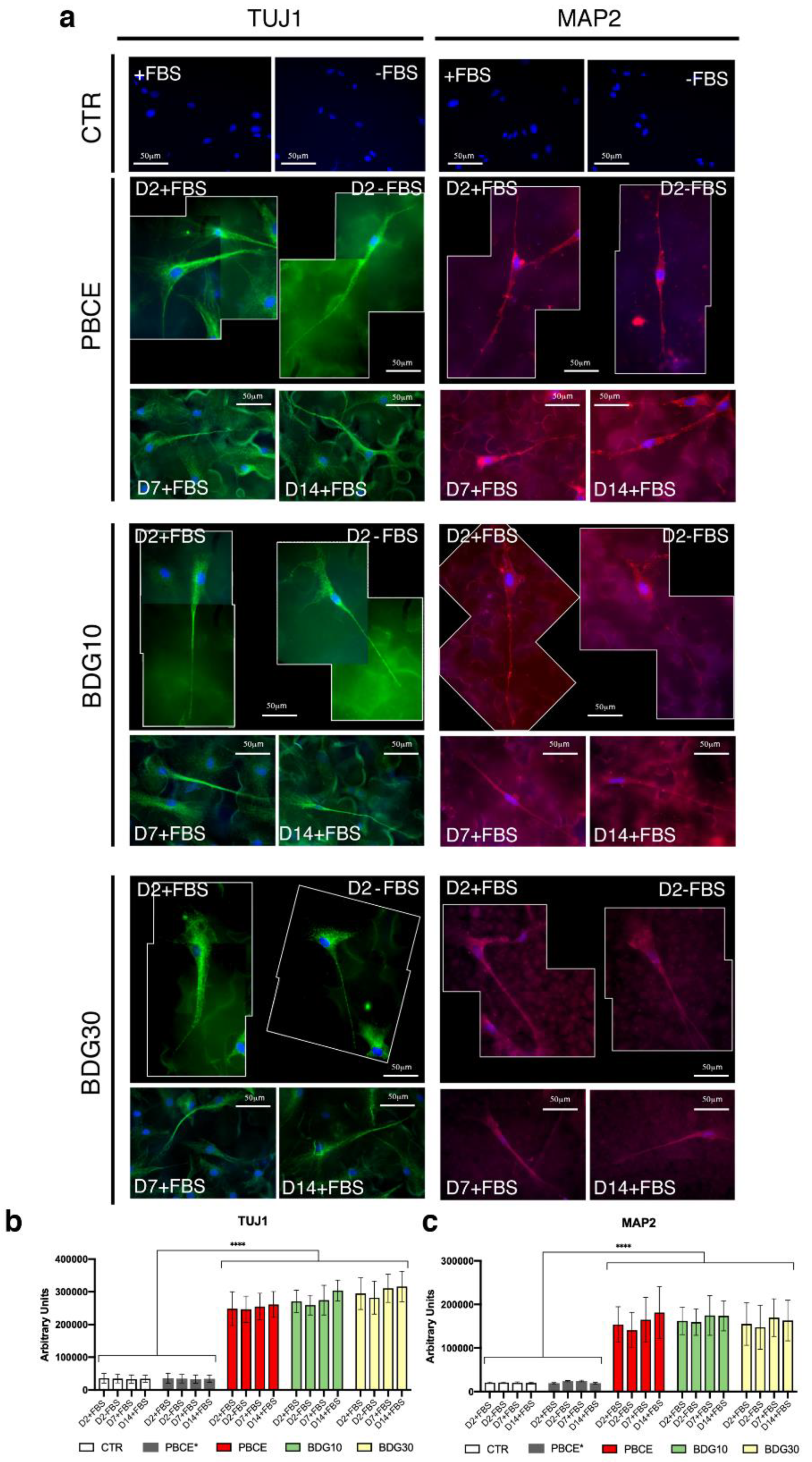Ijms 21 09274 g007 Ijms 21 09274 g007