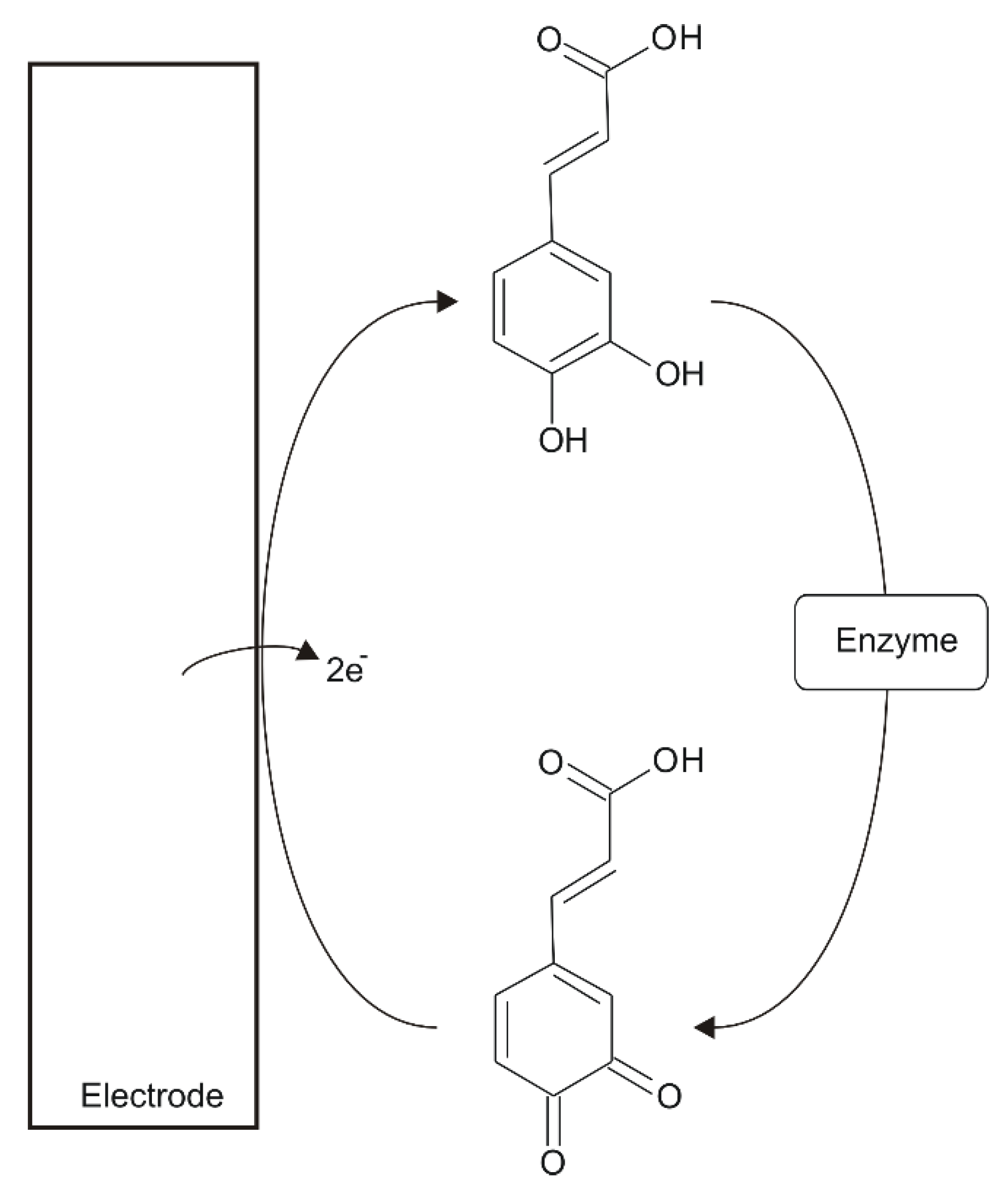 Ijms 21 09275 sch002