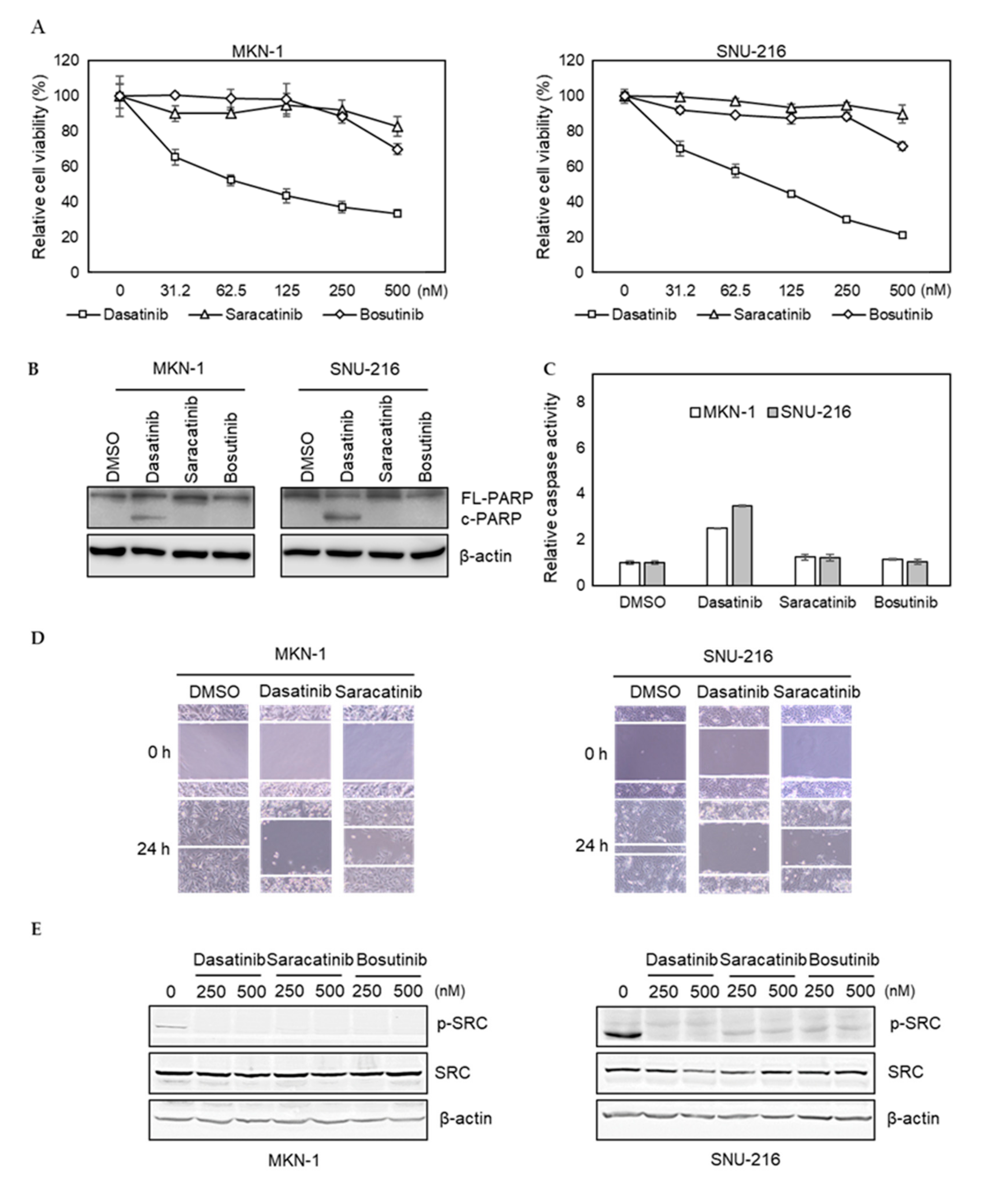 Ijms 21 09276 g002 Ijms 21 09276 g002