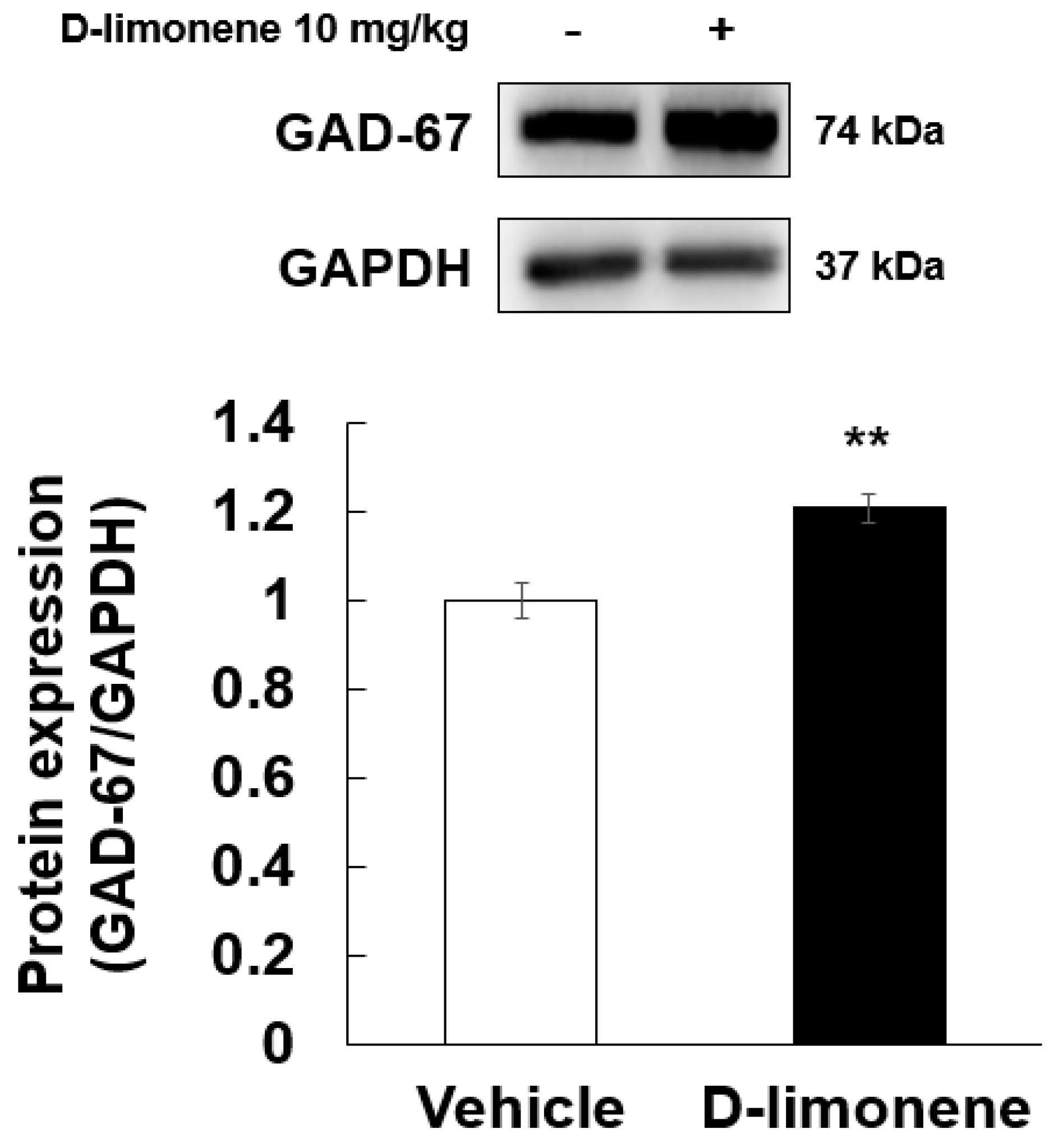 Ijms 21 09277 g004 Ijms 21 09277 g004