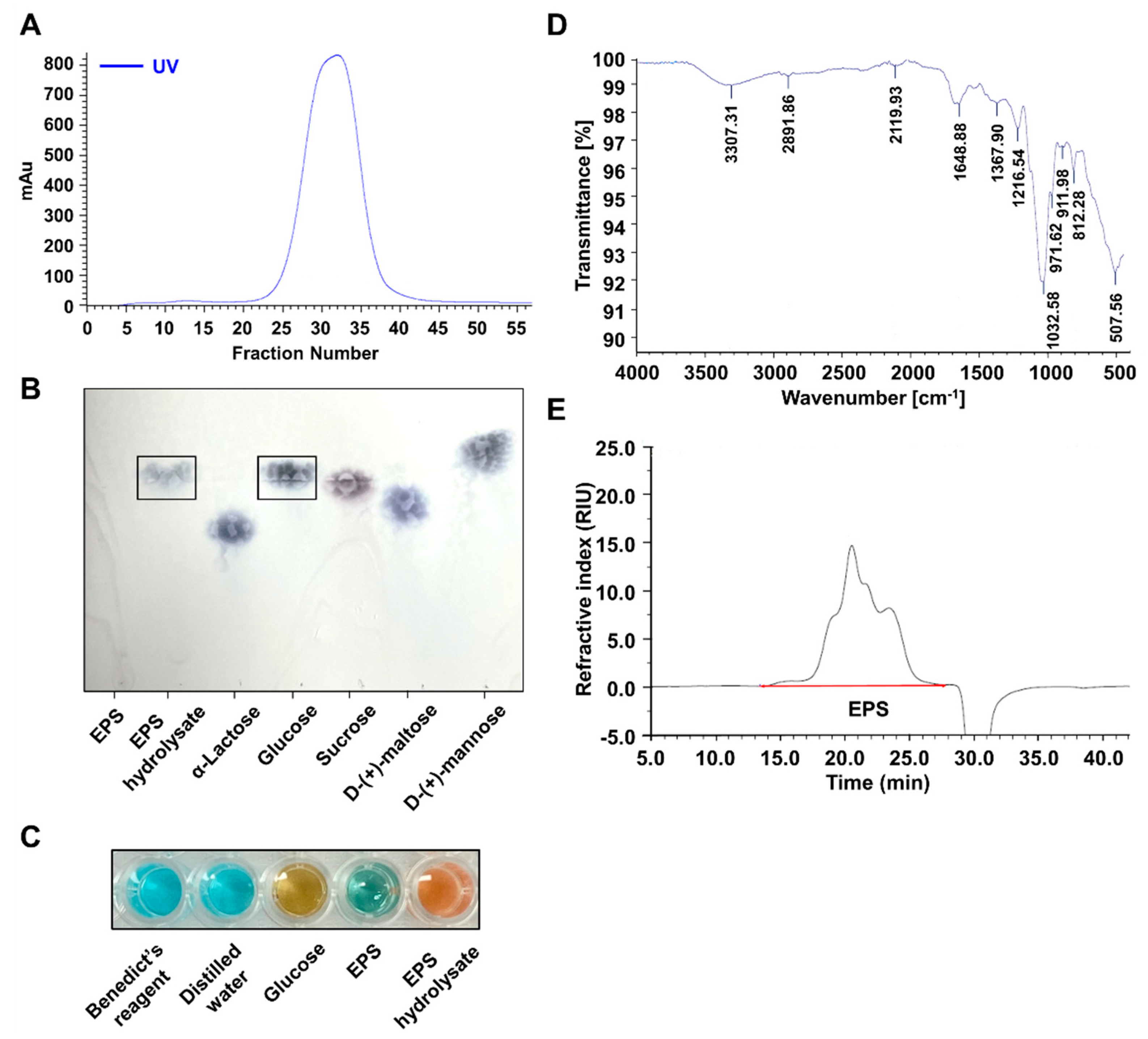 Ijms 21 09283 g002 Ijms 21 09283 g002