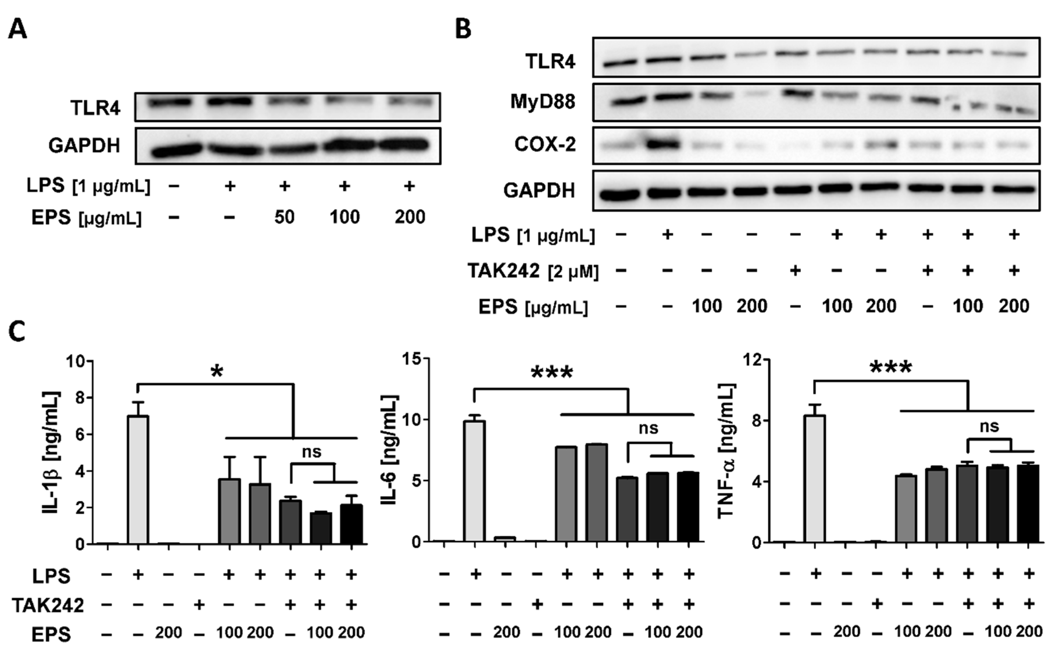 Ijms 21 09283 g007 Ijms 21 09283 g007