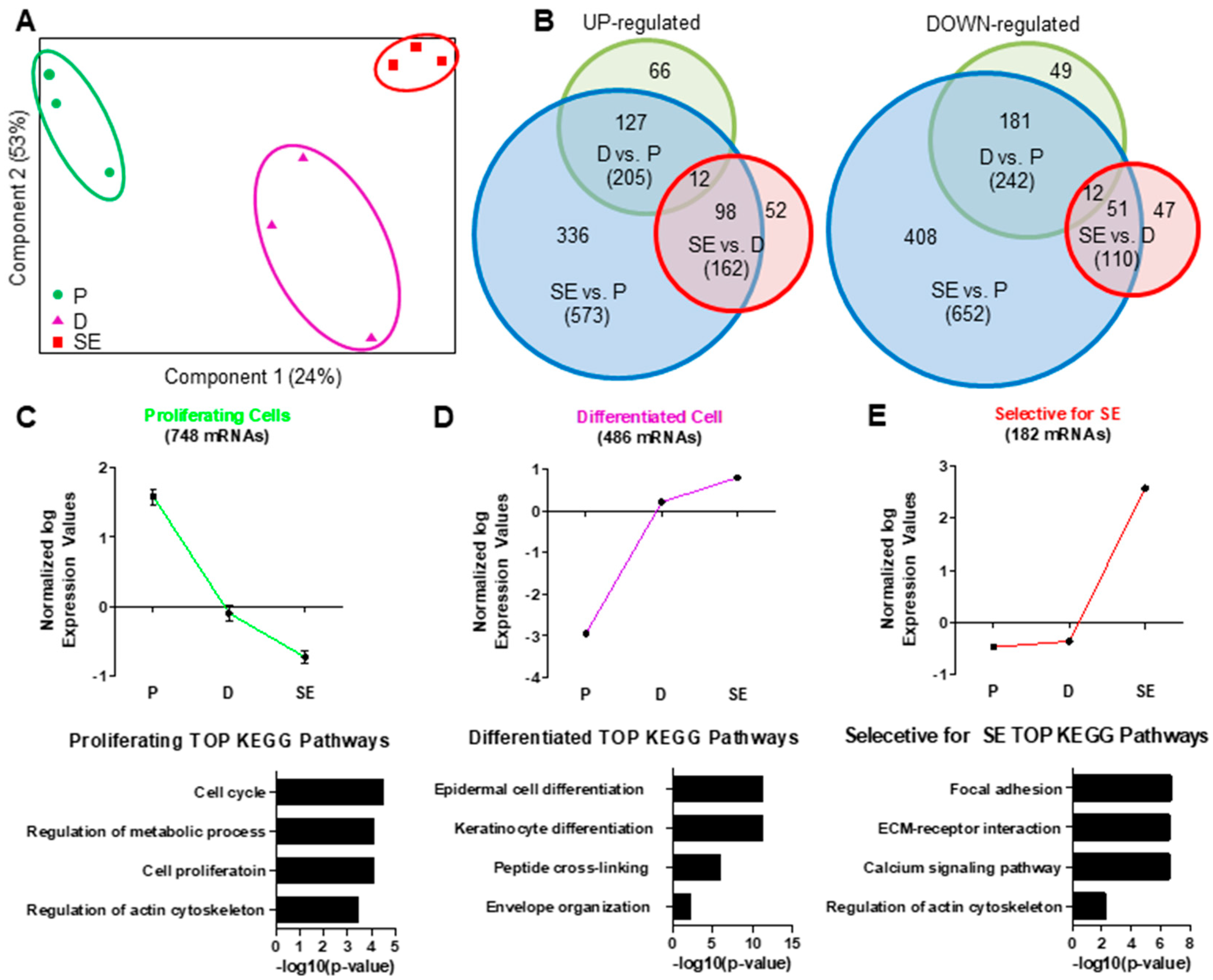 Ijms 21 09288 g001 Ijms 21 09288 g001