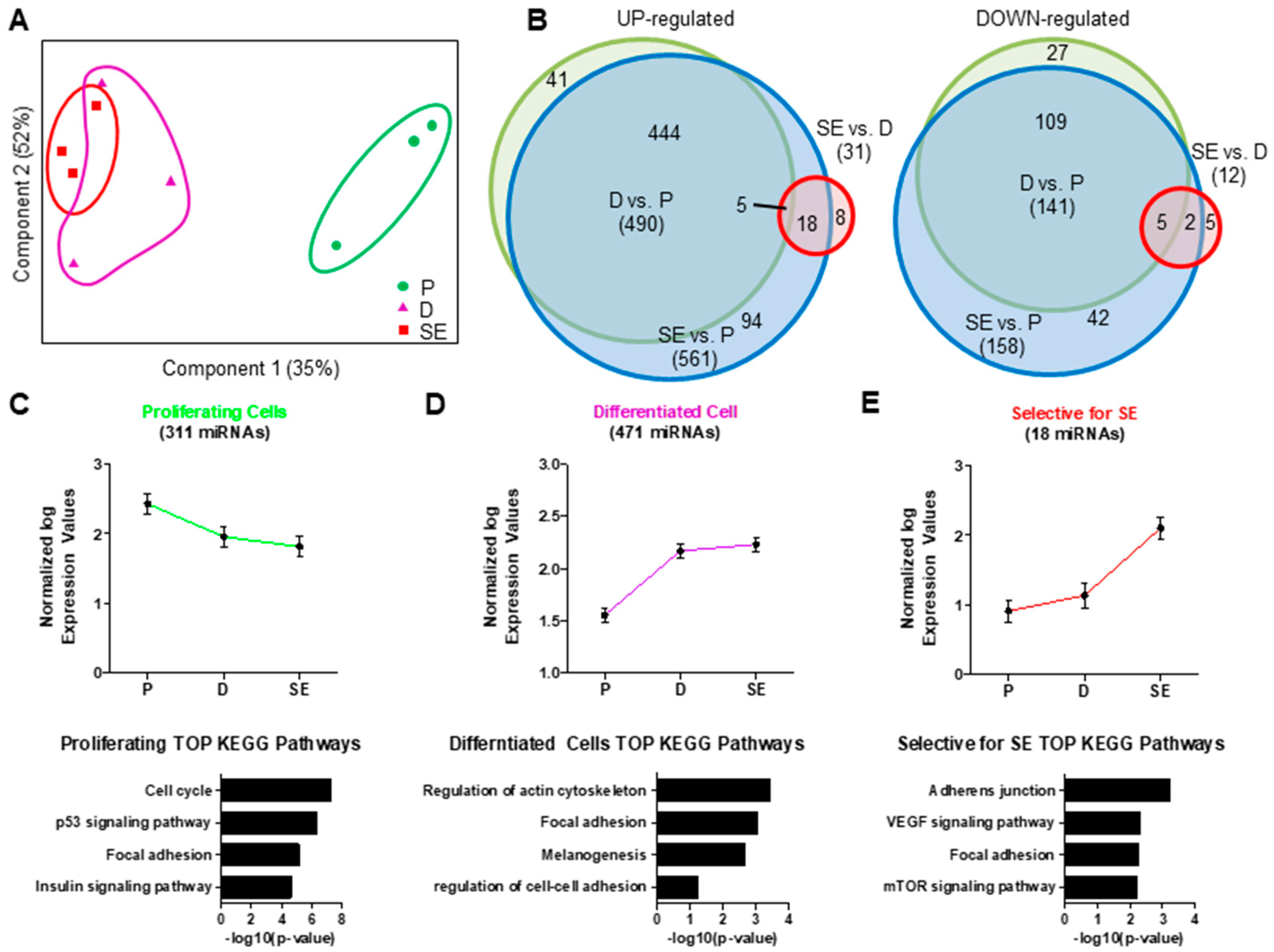 Ijms 21 09288 g002 Ijms 21 09288 g002