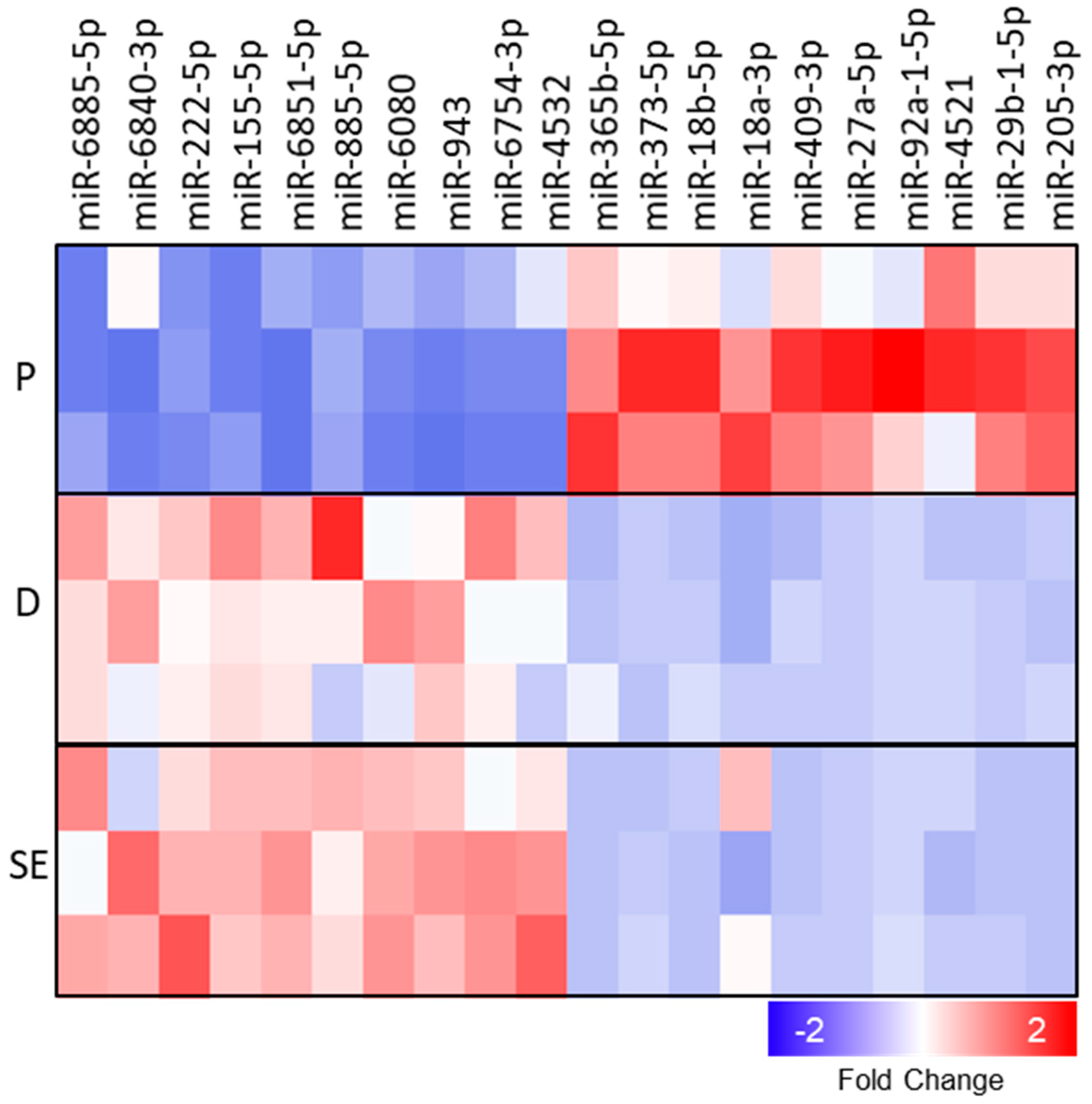 Ijms 21 09288 g003 Ijms 21 09288 g003