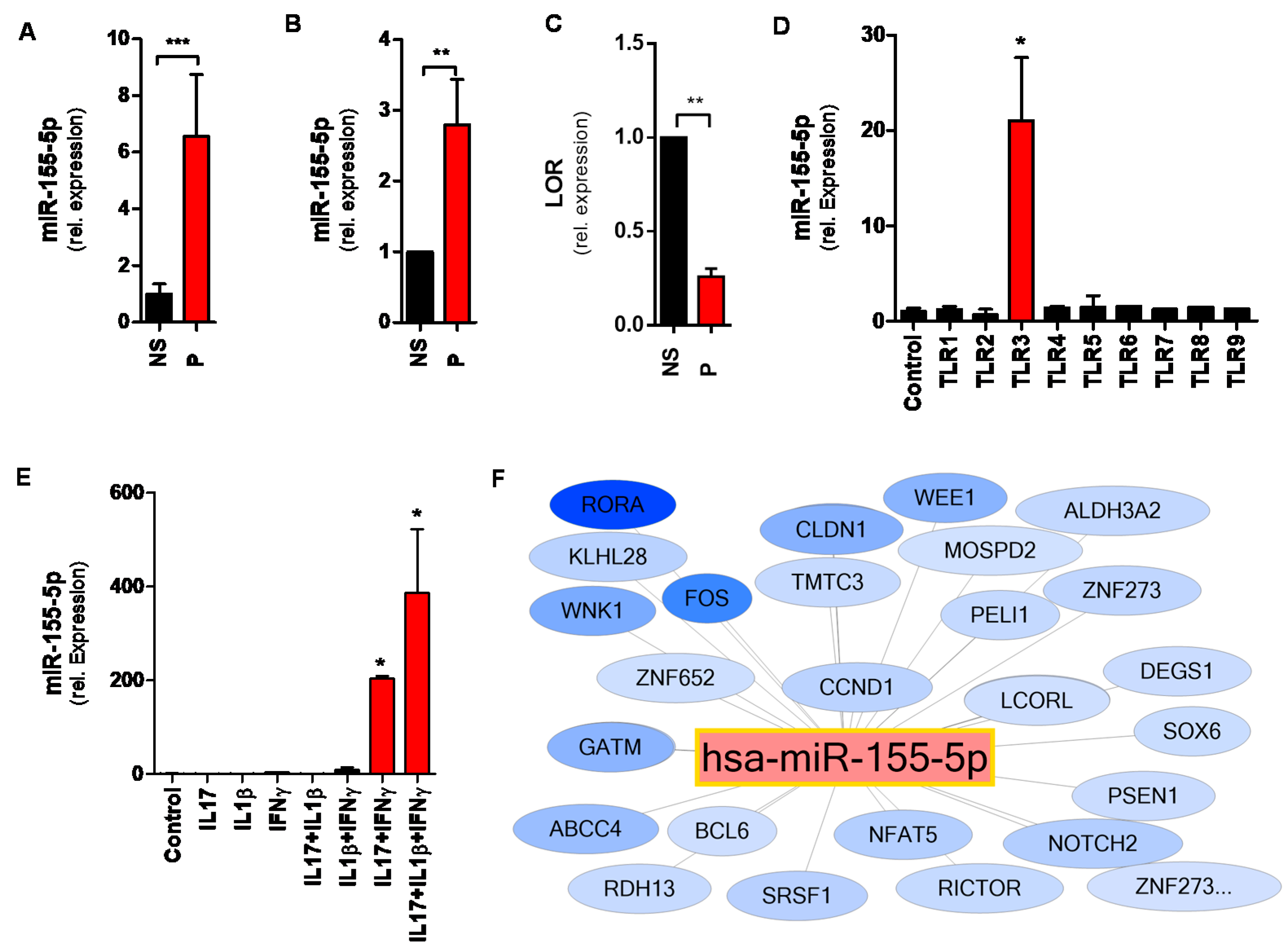 Ijms 21 09288 g007 Ijms 21 09288 g007