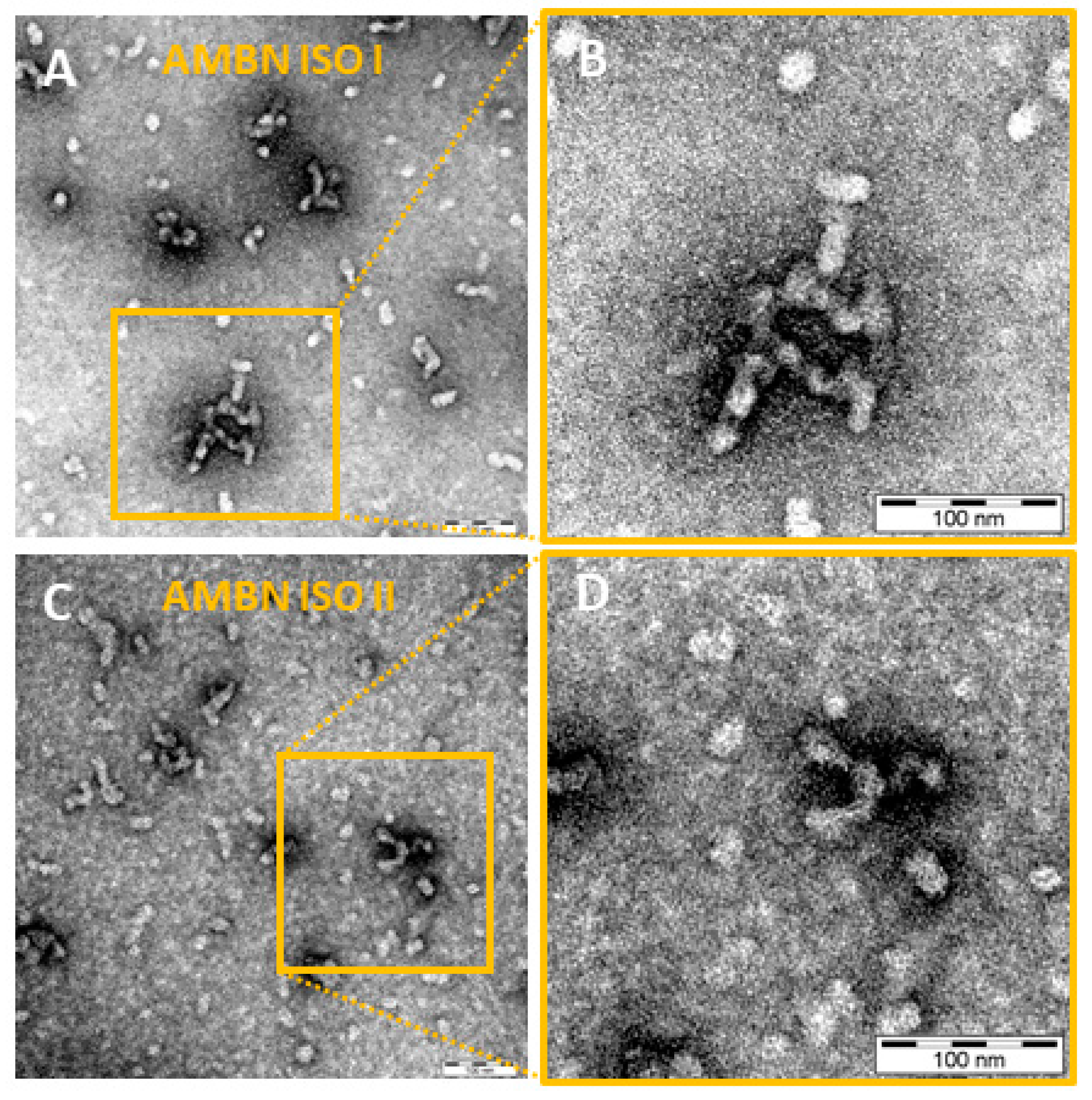 Ijms 21 09293 g002 Ijms 21 09293 g002