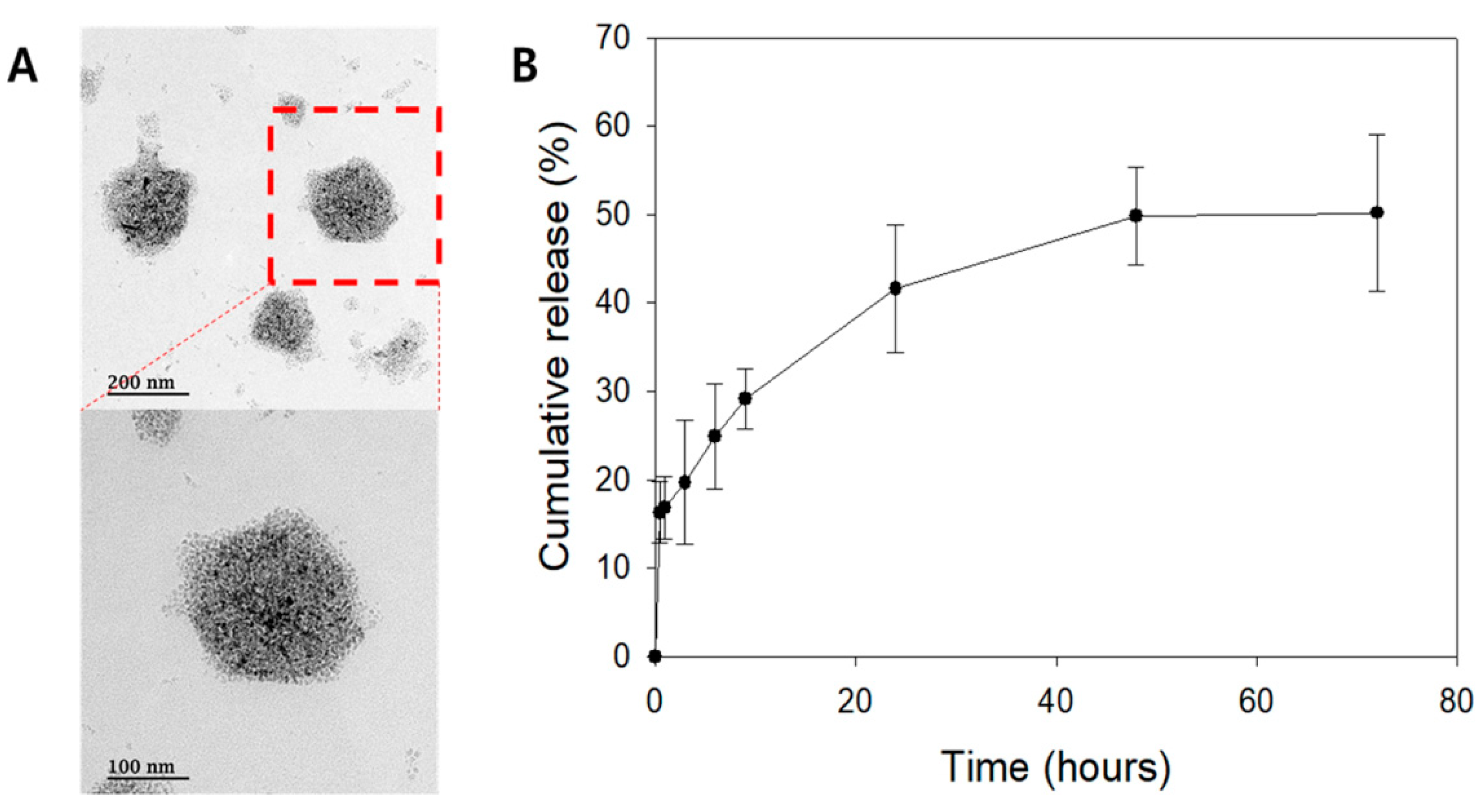 Ijms 21 09297 g003 Ijms 21 09297 g003
