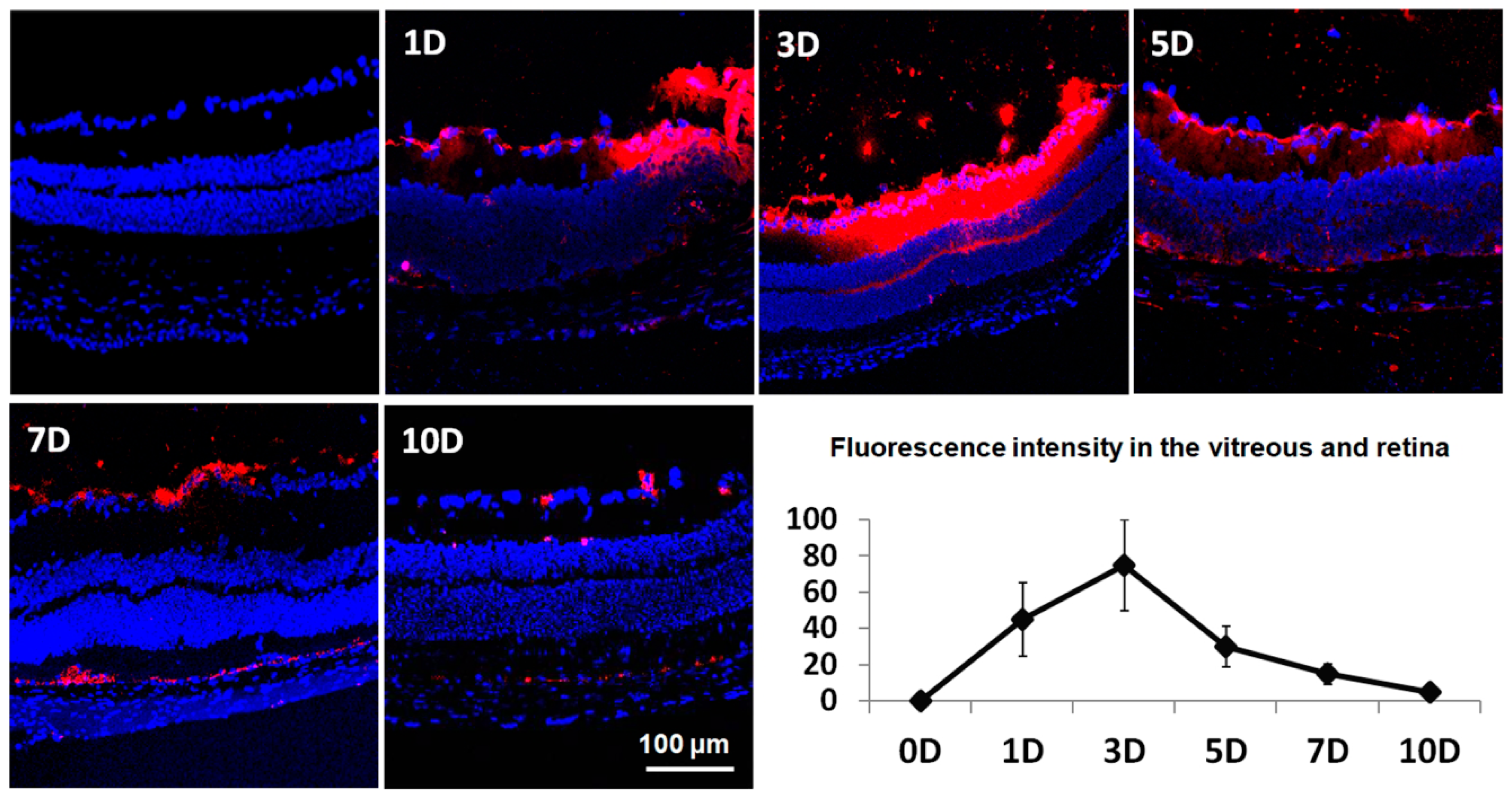Ijms 21 09297 g004 Ijms 21 09297 g004