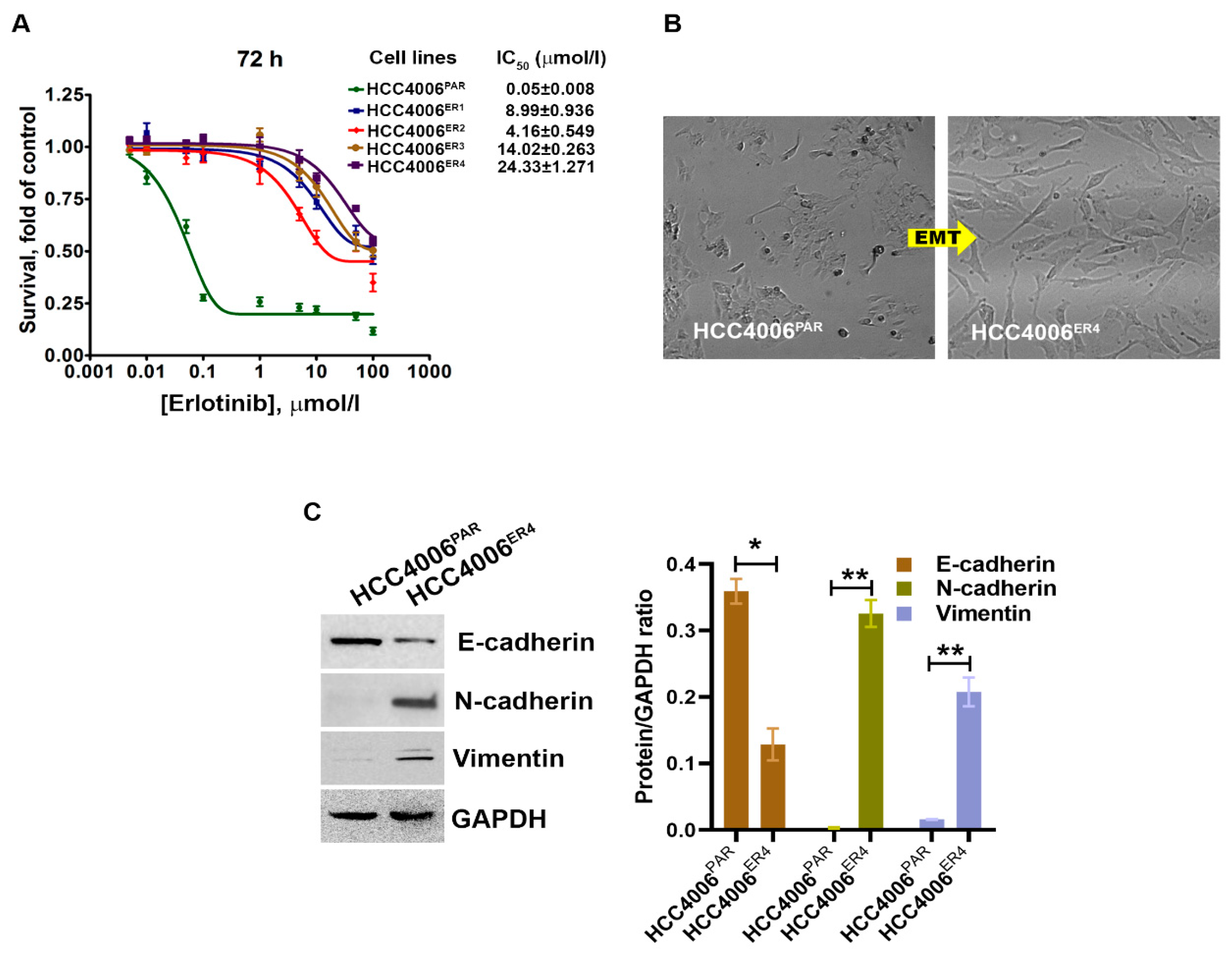 Ijms 21 09307 g001 Ijms 21 09307 g001