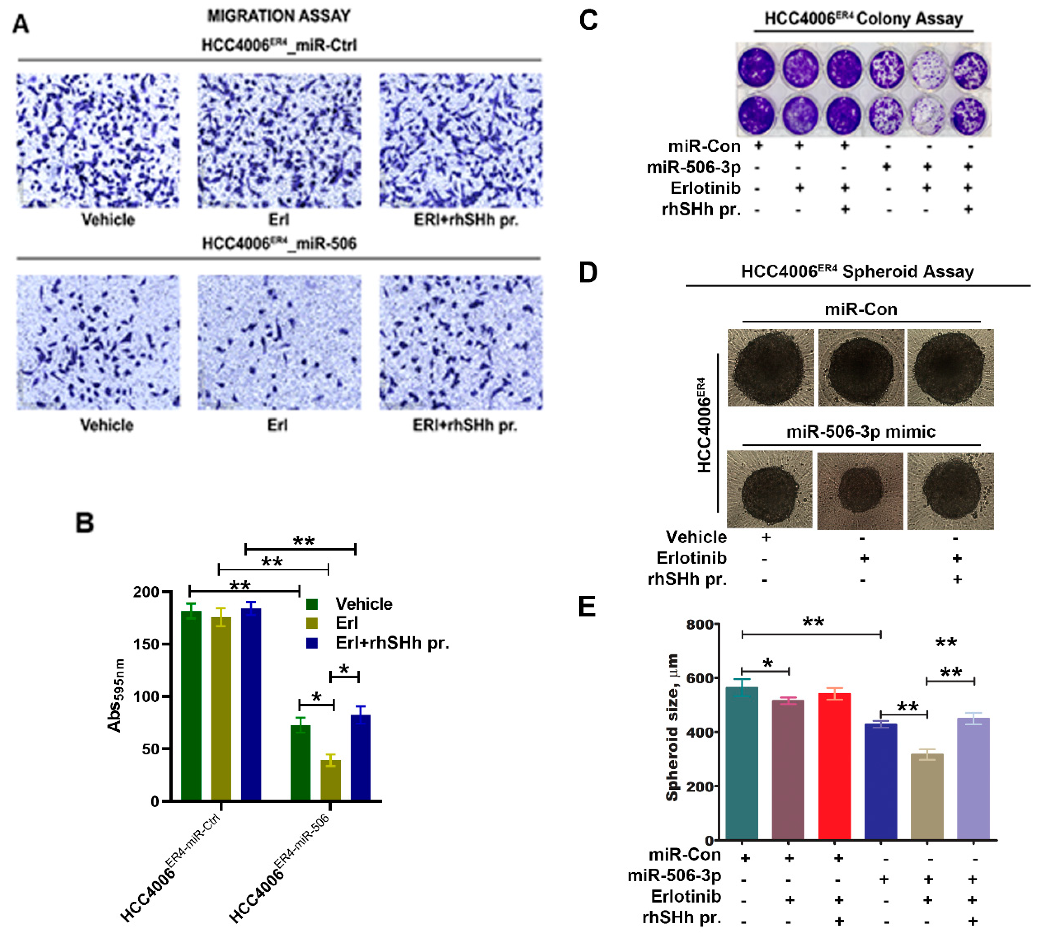 Ijms 21 09307 g006 Ijms 21 09307 g006