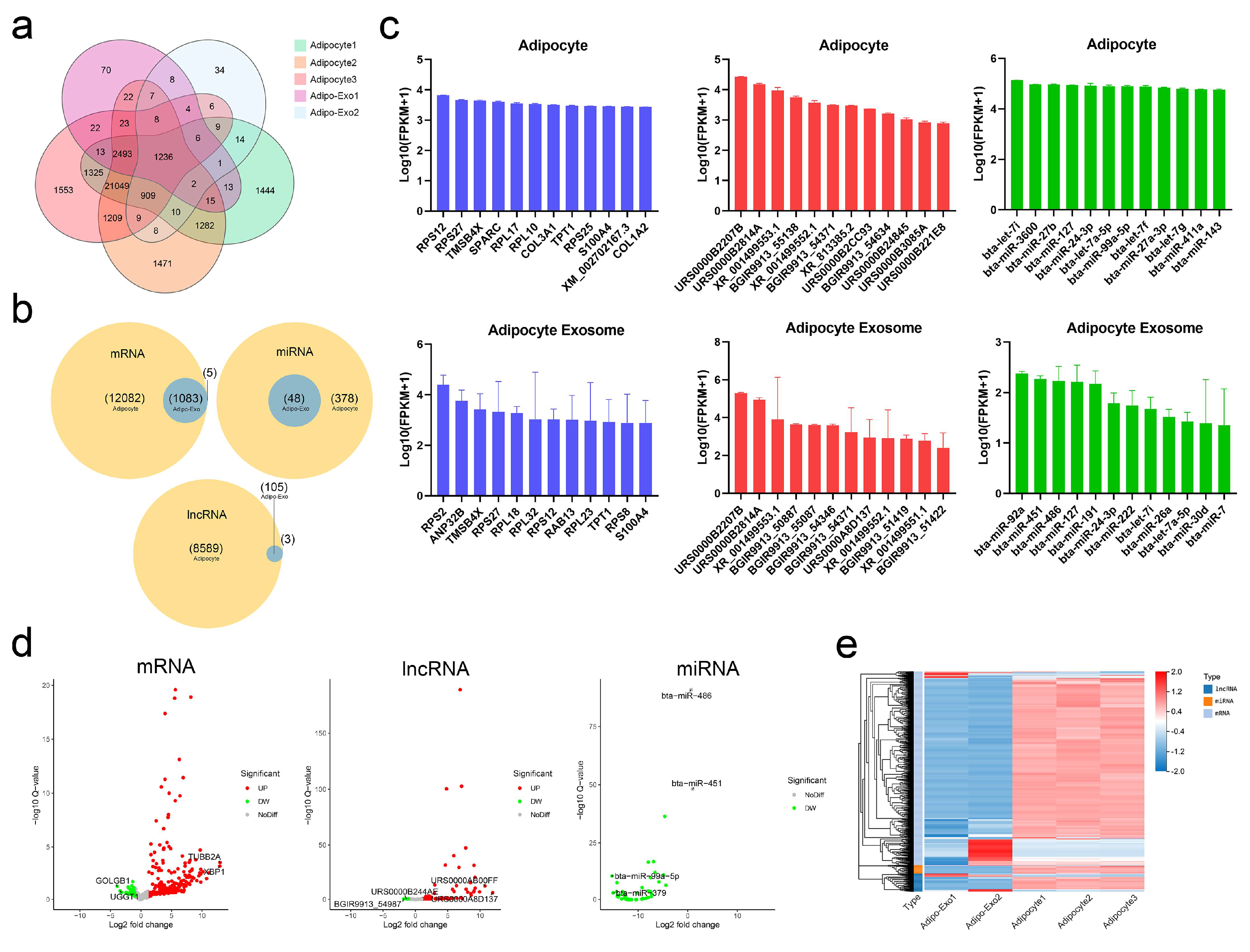 Ijms 21 09313 g003 Ijms 21 09313 g003