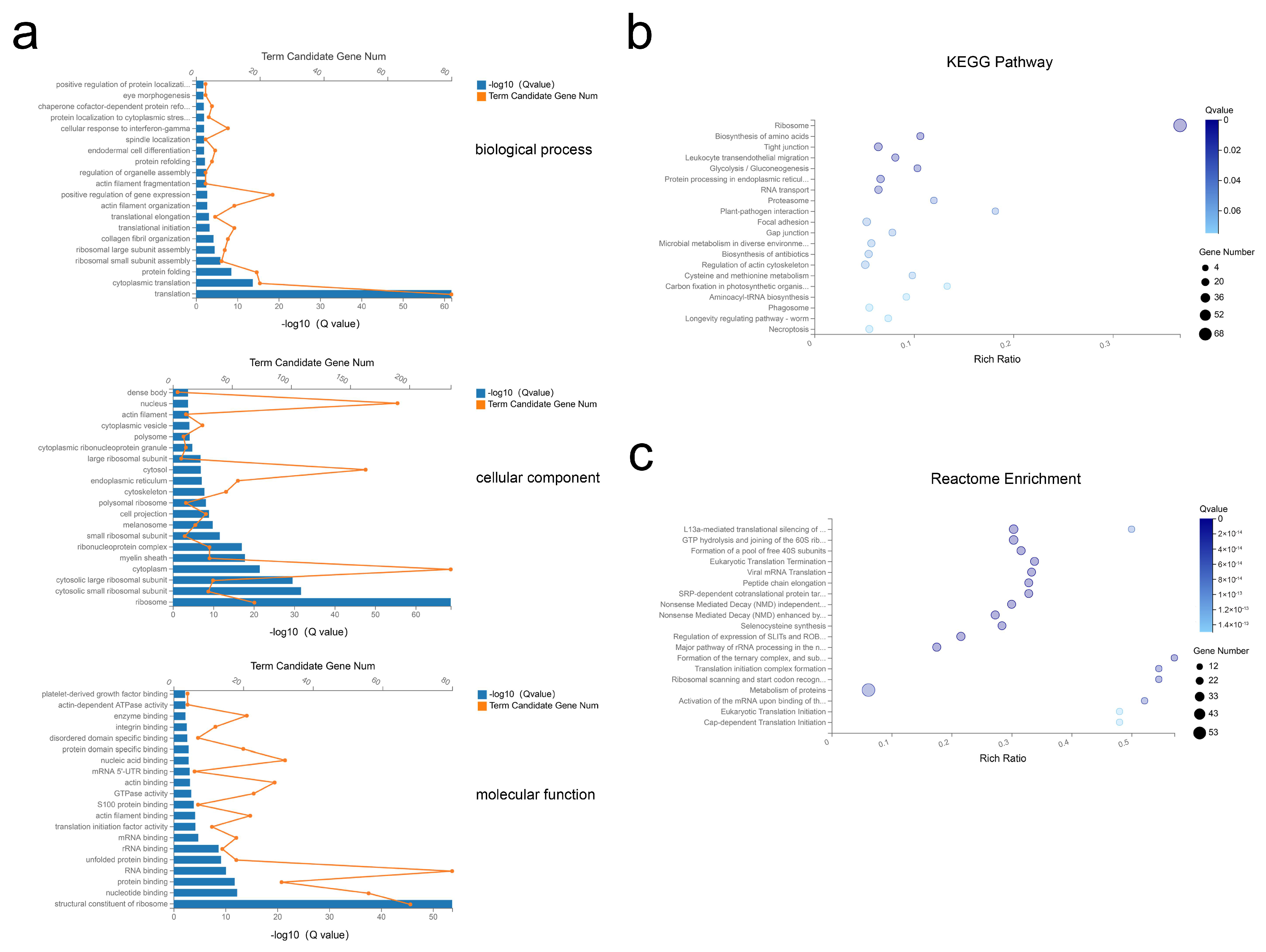 Ijms 21 09313 g004 Ijms 21 09313 g004