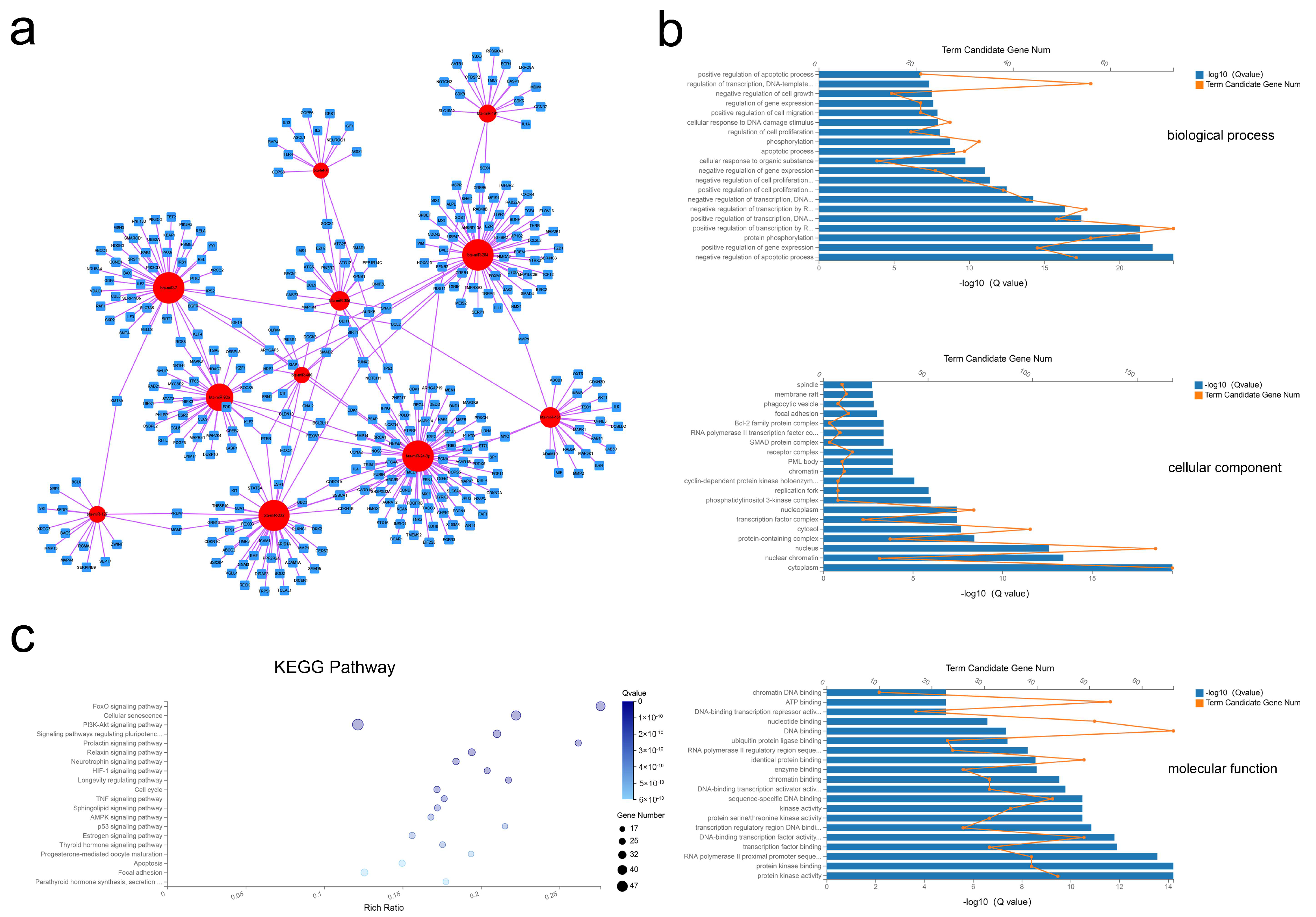 Ijms 21 09313 g005 Ijms 21 09313 g005