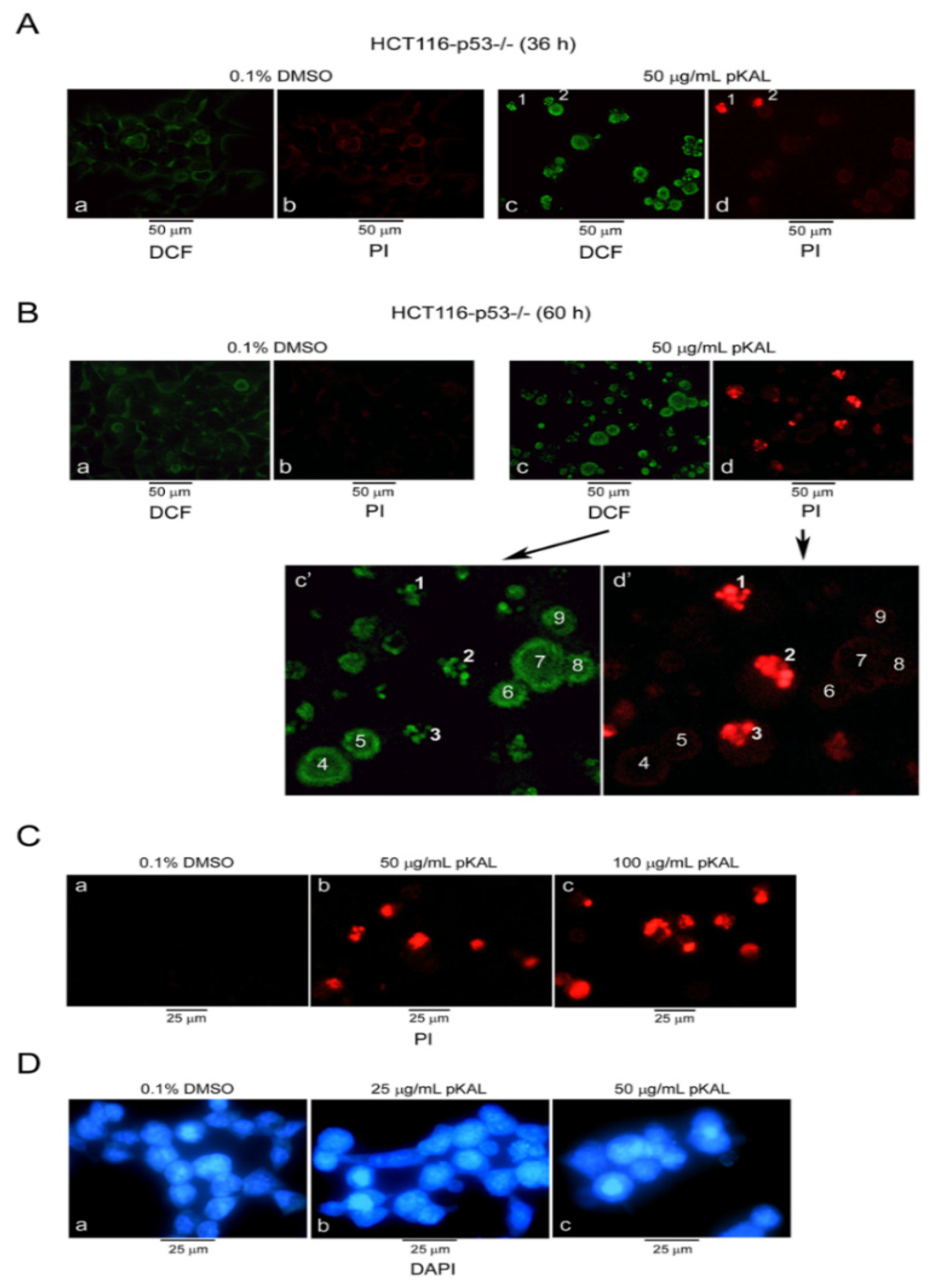 Ijms 21 09315 g001 Ijms 21 09315 g001