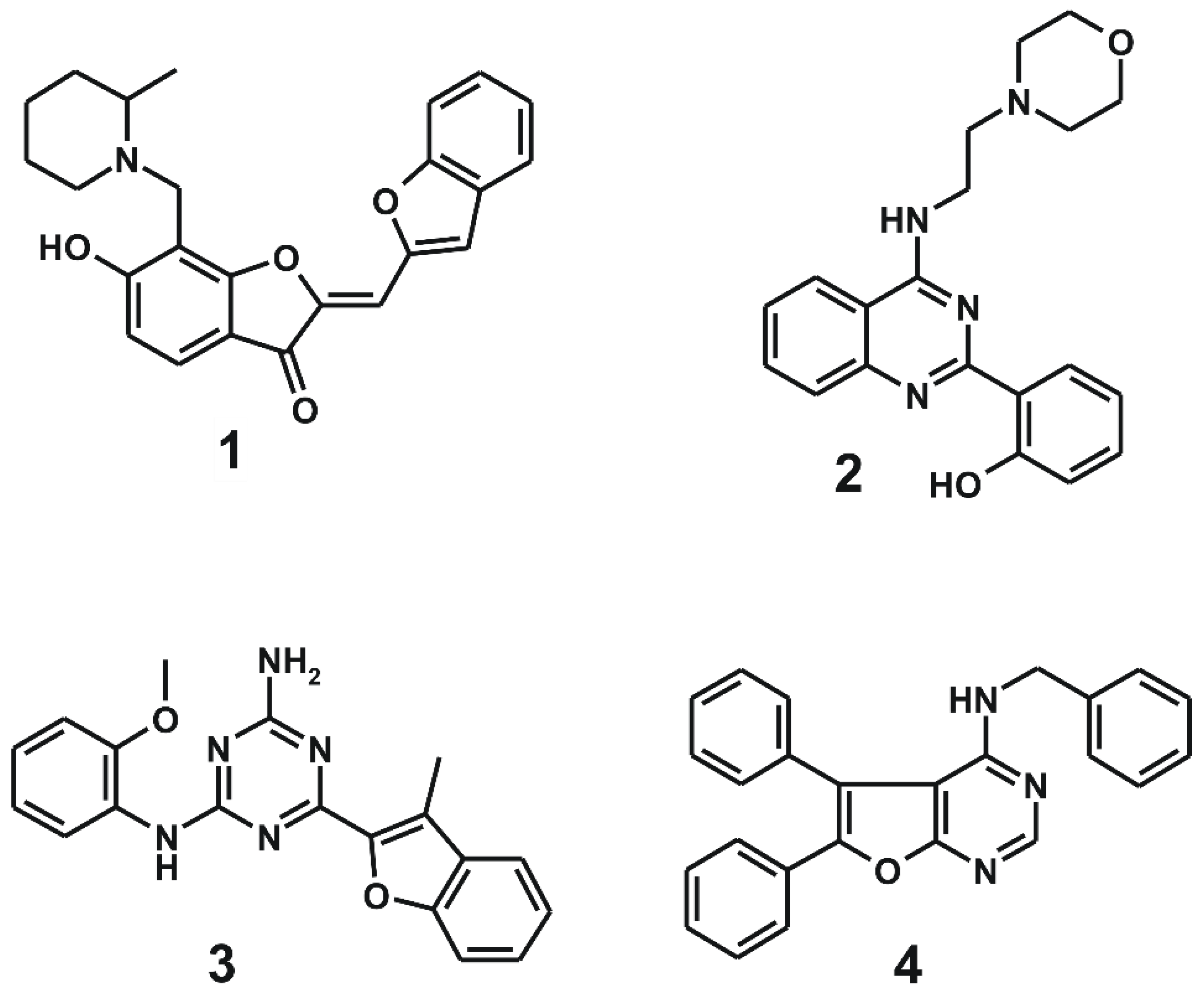 Ijms 21 09323 g003 Ijms 21 09323 g003