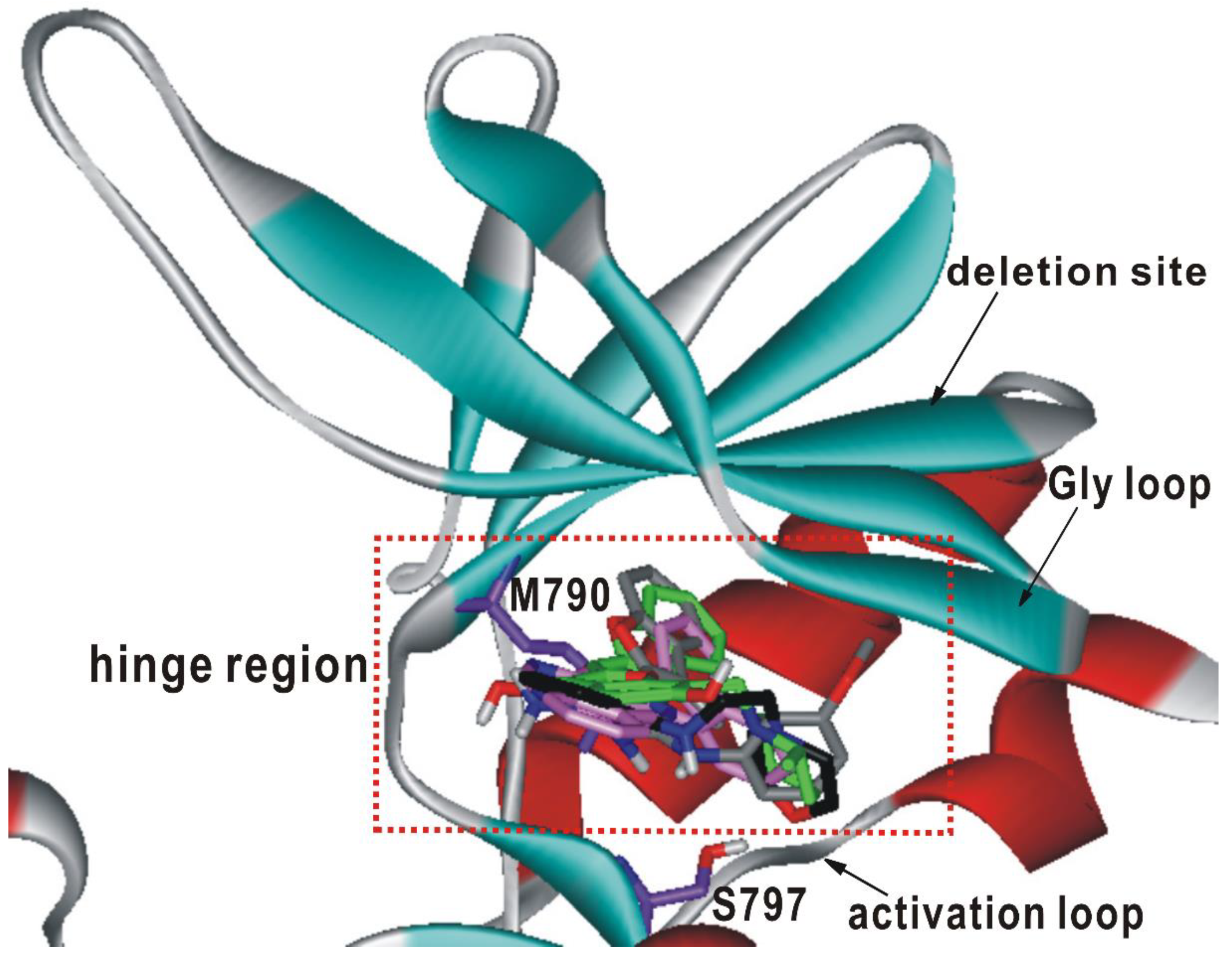 Ijms 21 09323 g004 Ijms 21 09323 g004
