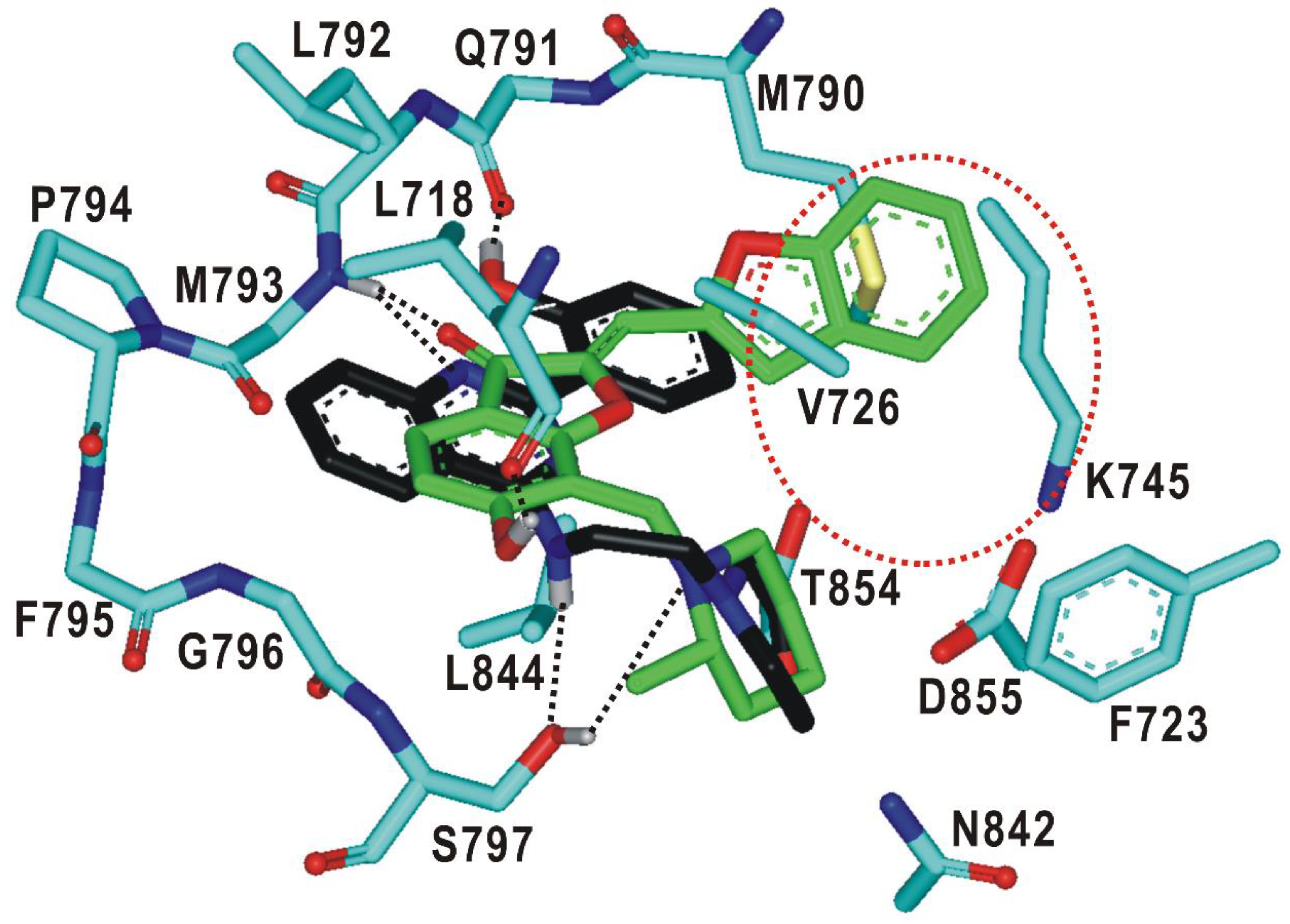 Ijms 21 09323 g005 Ijms 21 09323 g005