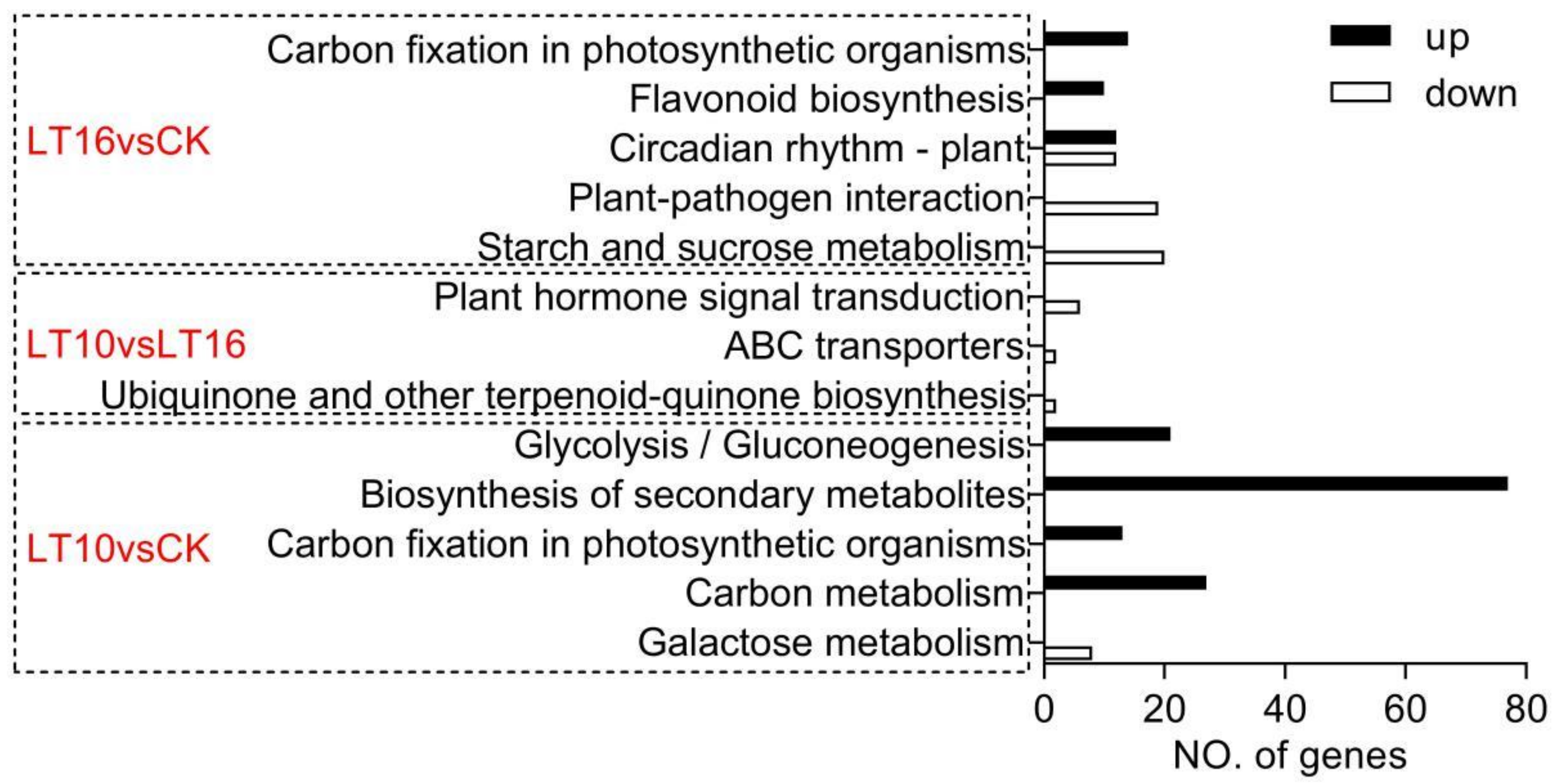 Ijms 21 09326 g002 Ijms 21 09326 g002