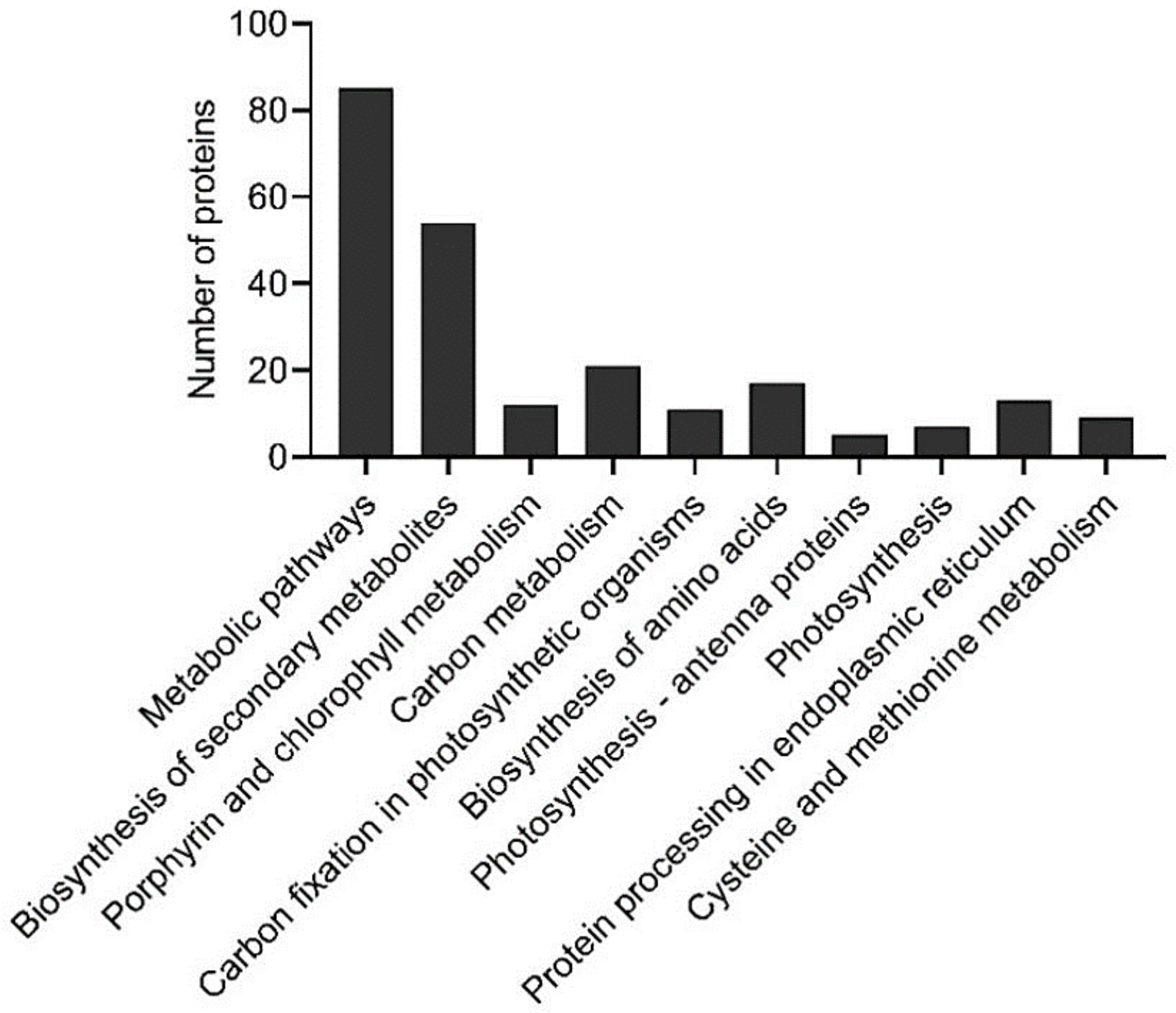 Ijms 21 09326 g003 Ijms 21 09326 g003