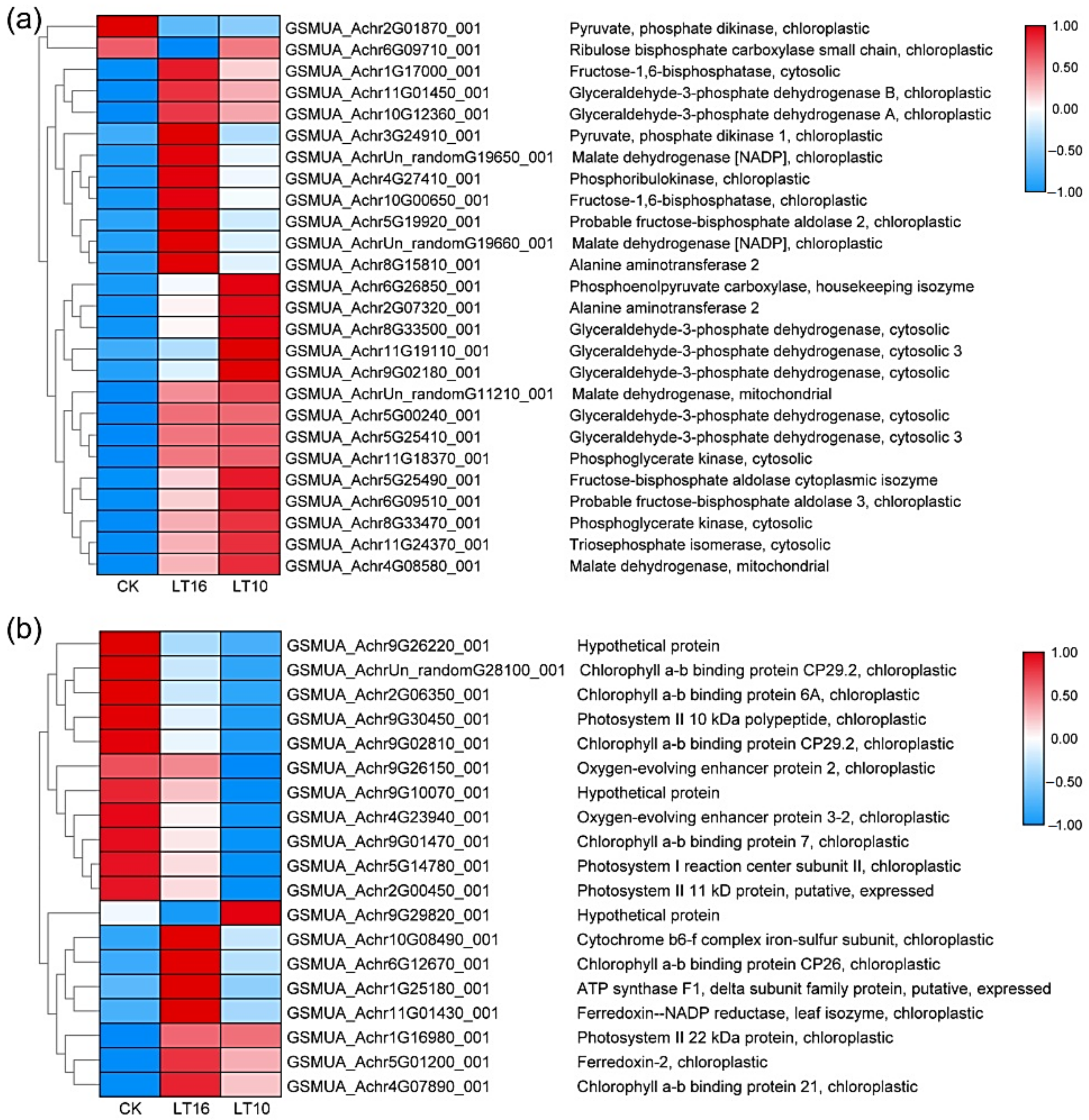 Ijms 21 09326 g004 Ijms 21 09326 g004
