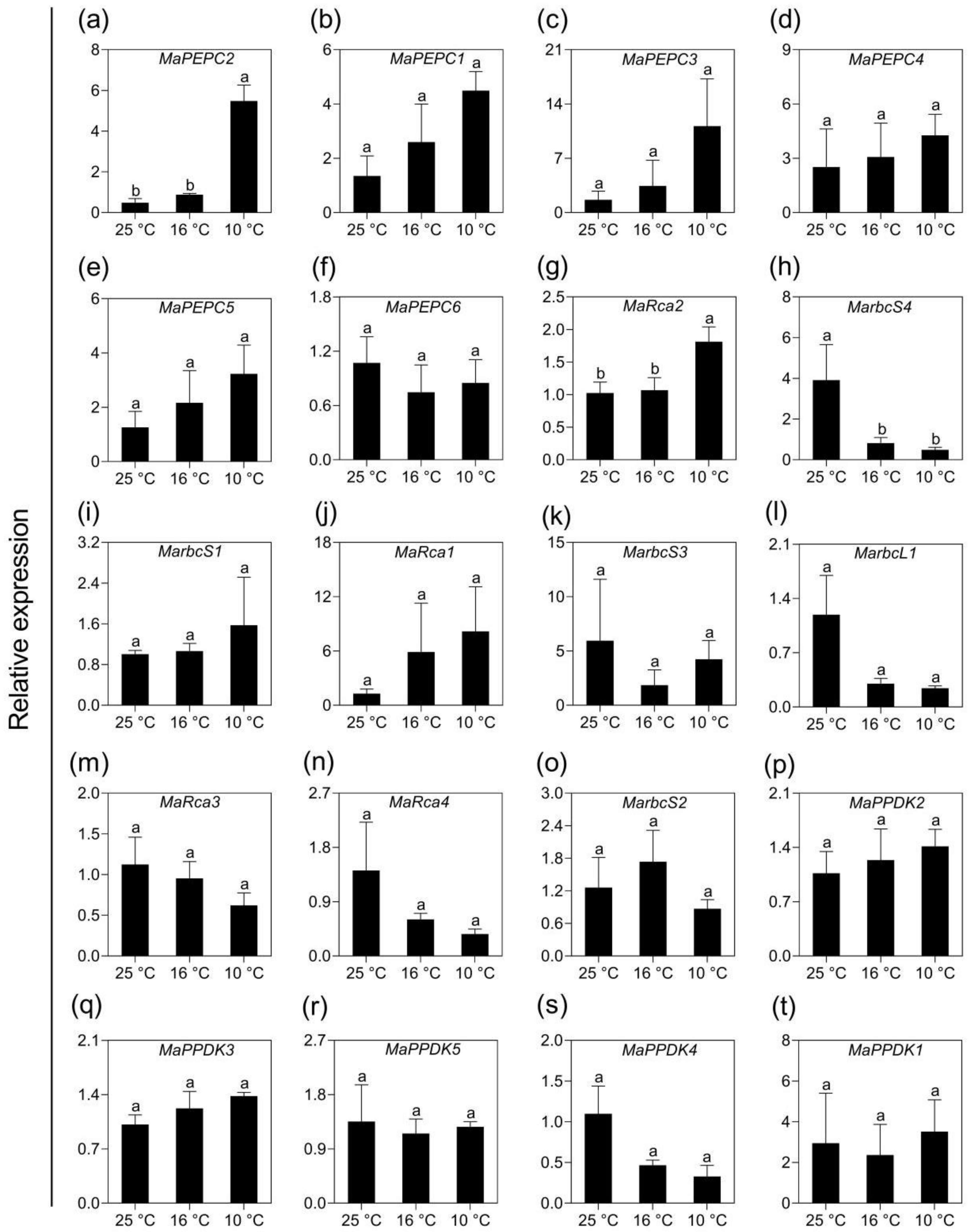 Ijms 21 09326 g007 Ijms 21 09326 g007