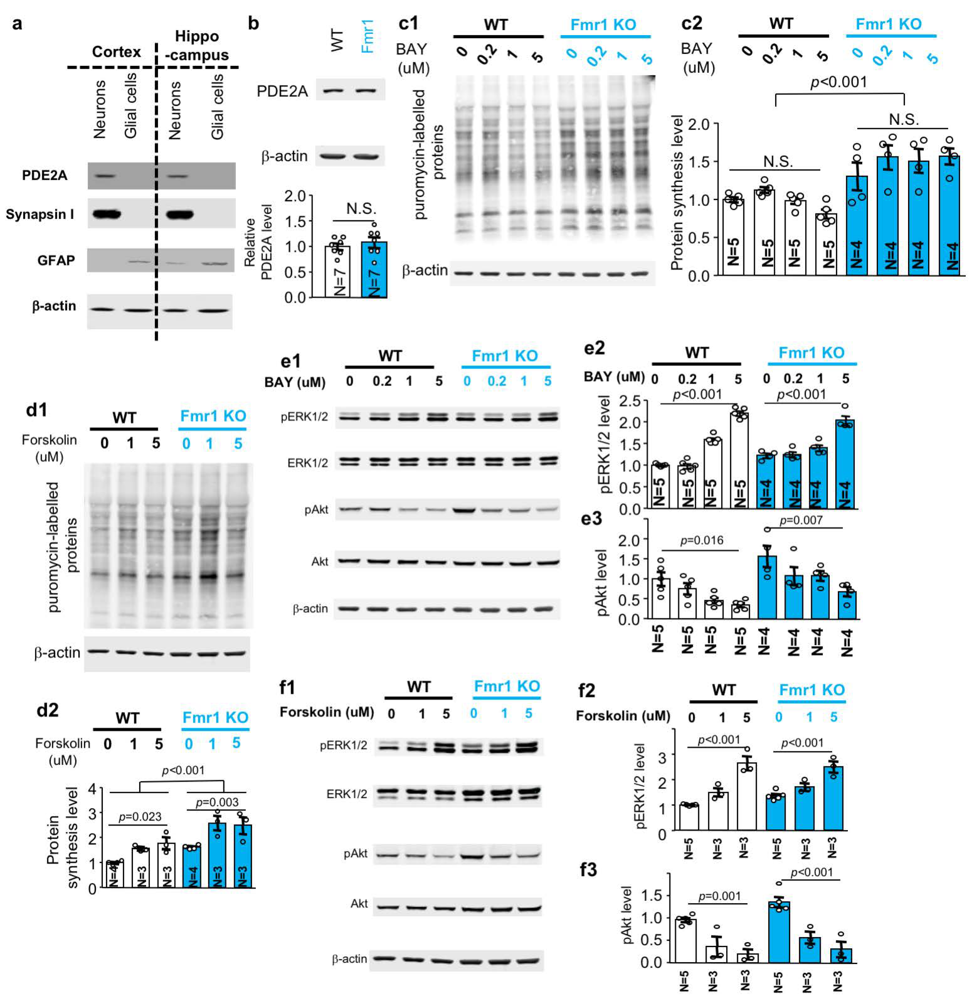Ijms 21 09327 g005 Ijms 21 09327 g005