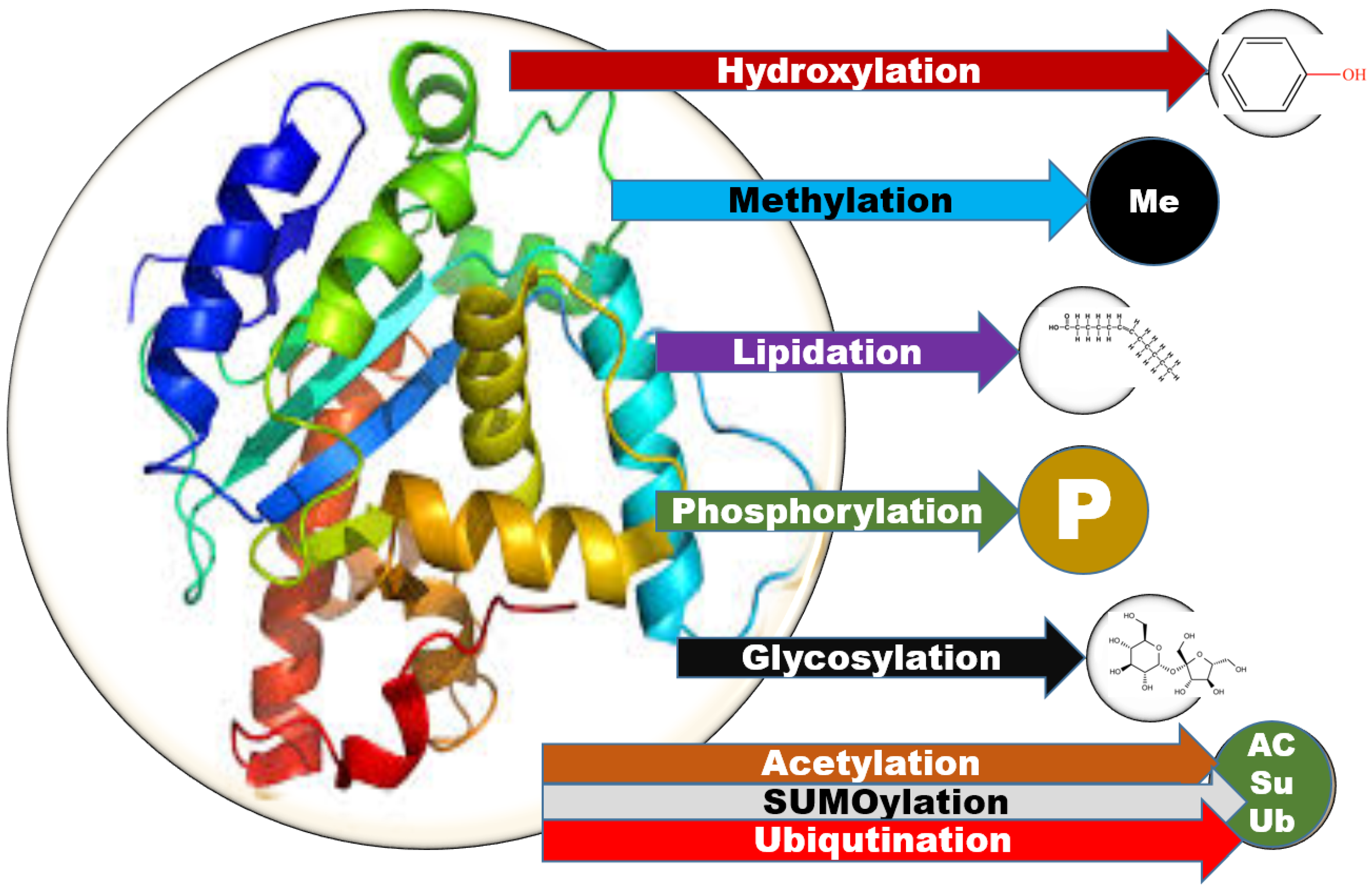 IJMS   Free Full Text   Insights into Bioinformatic Applications