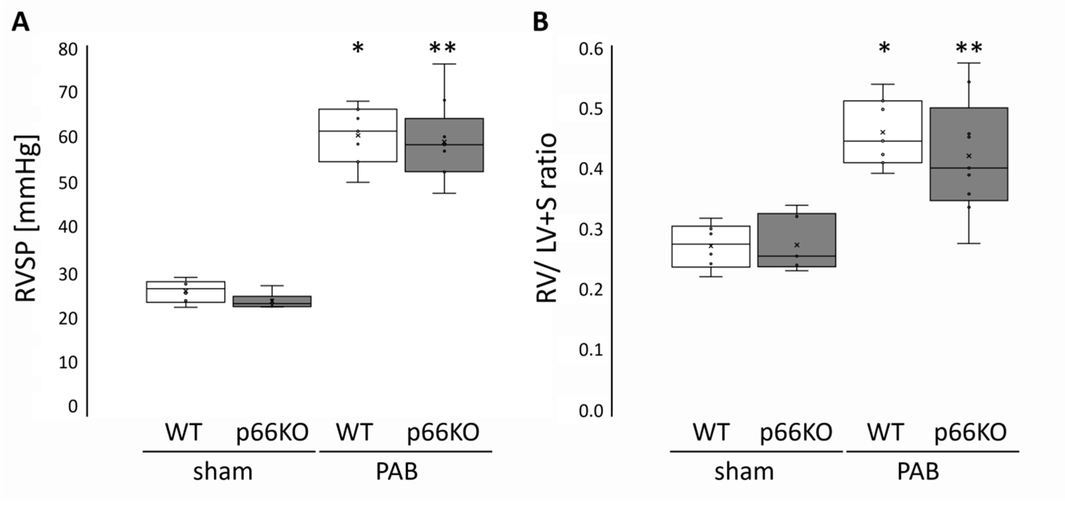 Ijms 21 09339 g002 Ijms 21 09339 g002