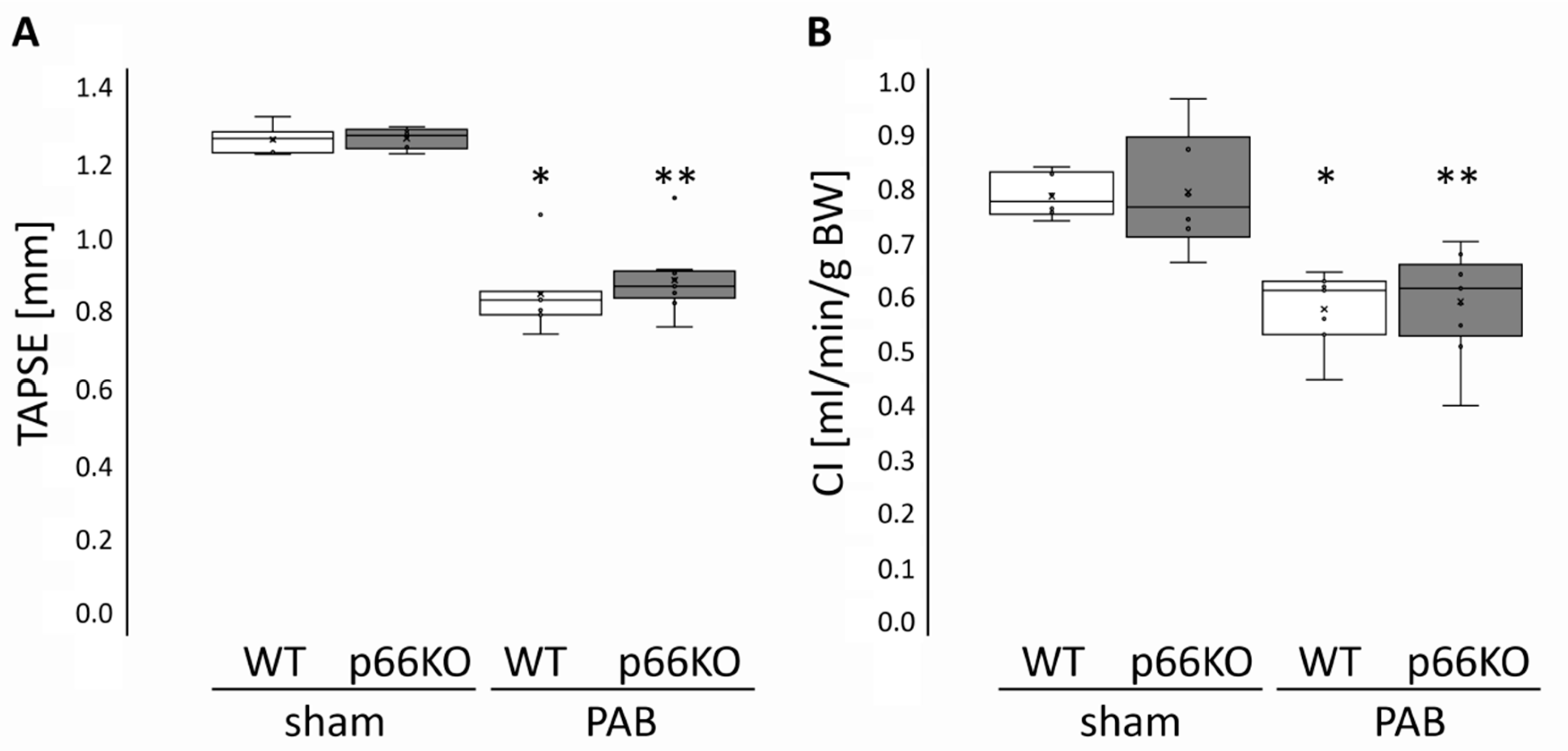 Ijms 21 09339 g003 Ijms 21 09339 g003