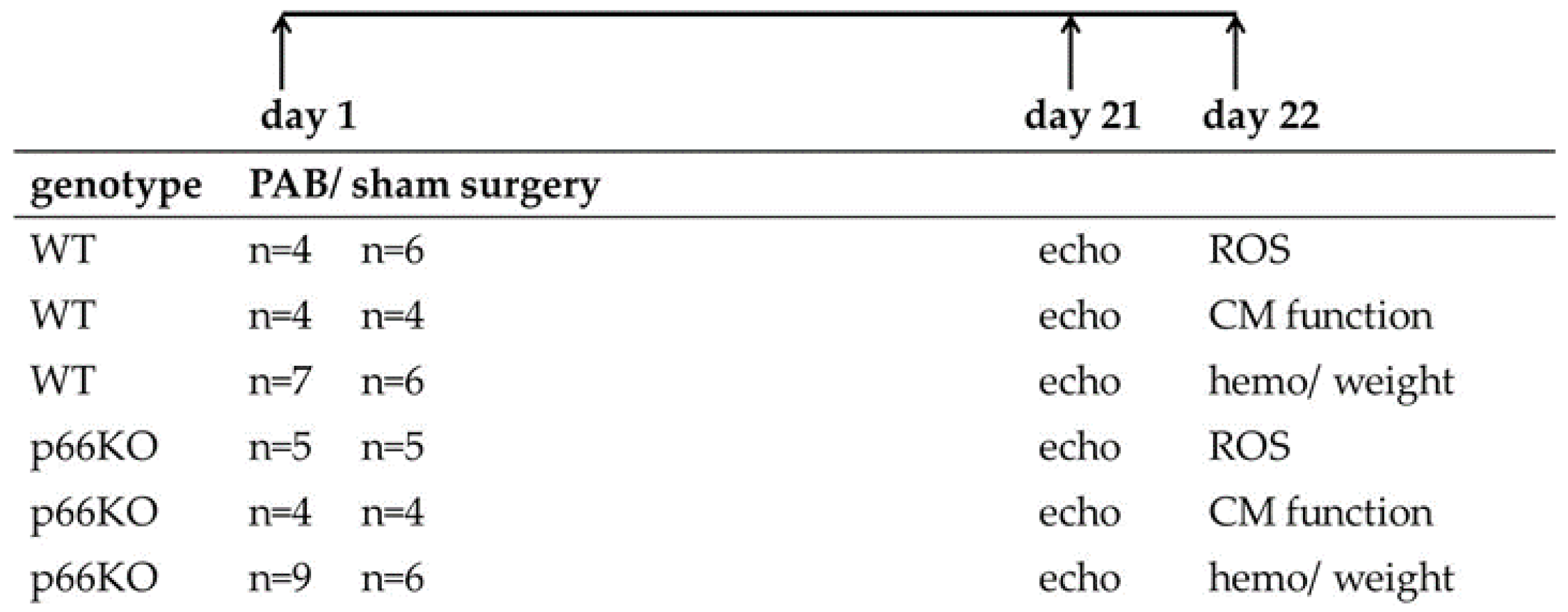 Ijms 21 09339 g004 Ijms 21 09339 g004