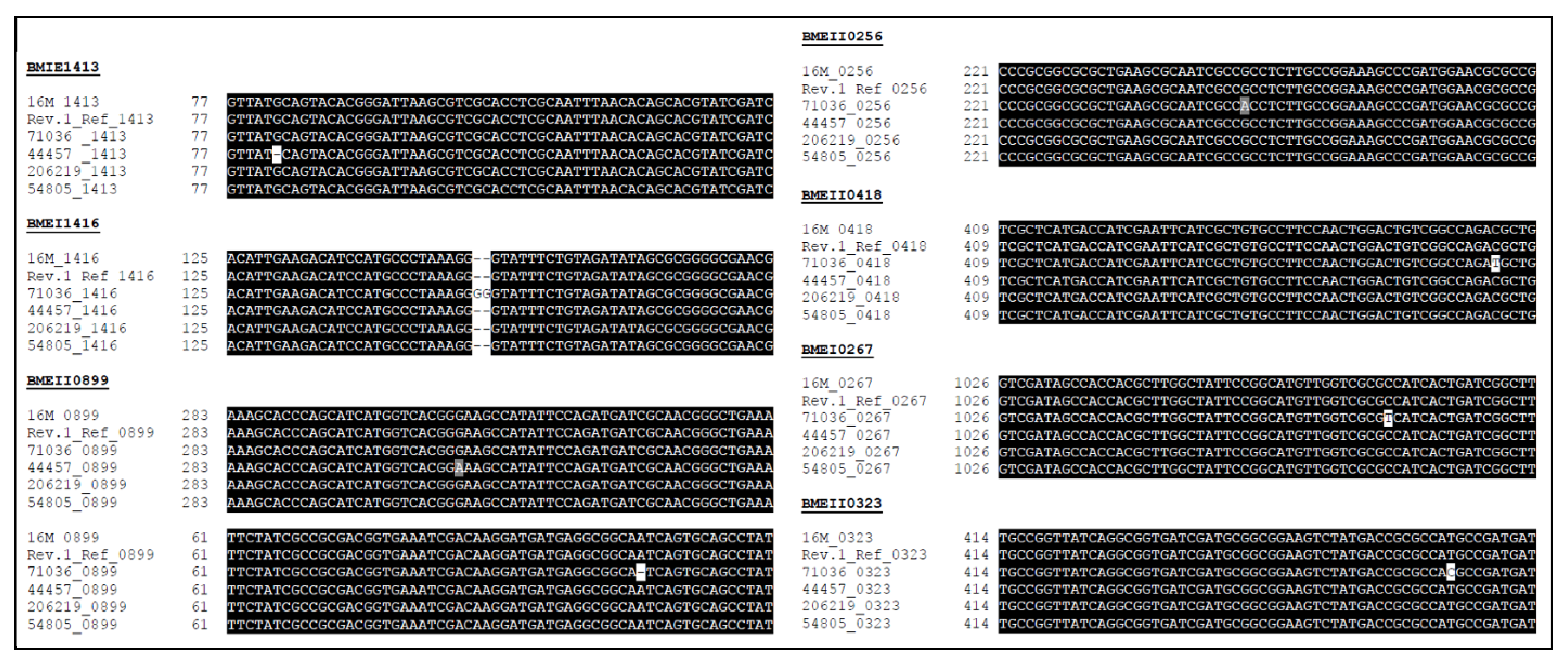 Ijms 21 09341 g001 Ijms 21 09341 g001