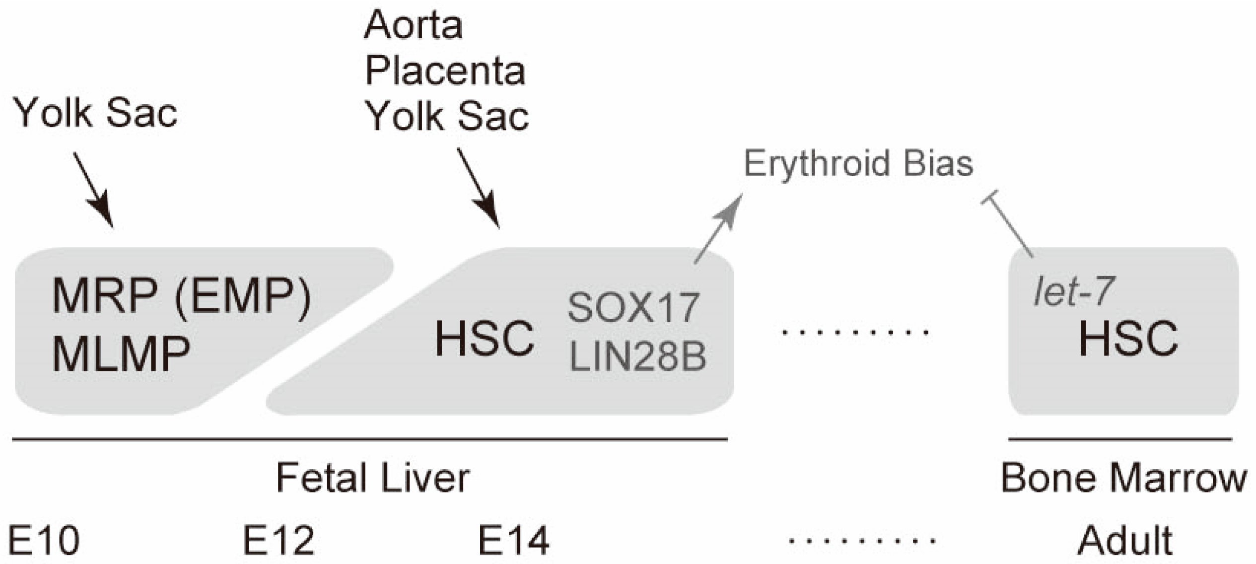 Ijms 21 09346 g003 Ijms 21 09346 g003