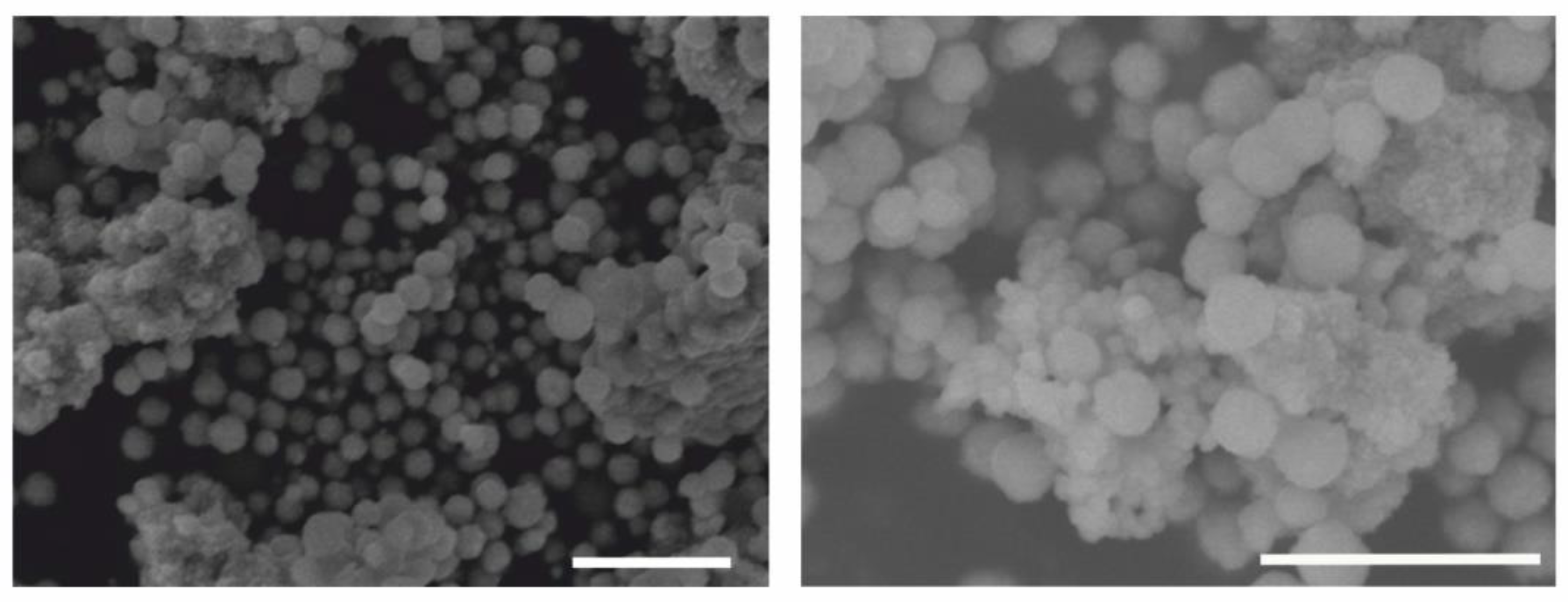 Ijms 21 09350 g004 Ijms 21 09350 g004