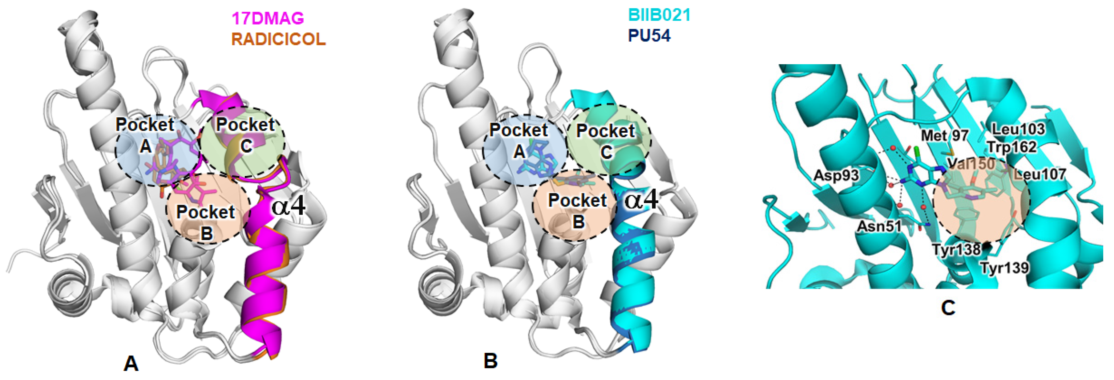 Ijms 21 09377 g002 Ijms 21 09377 g002