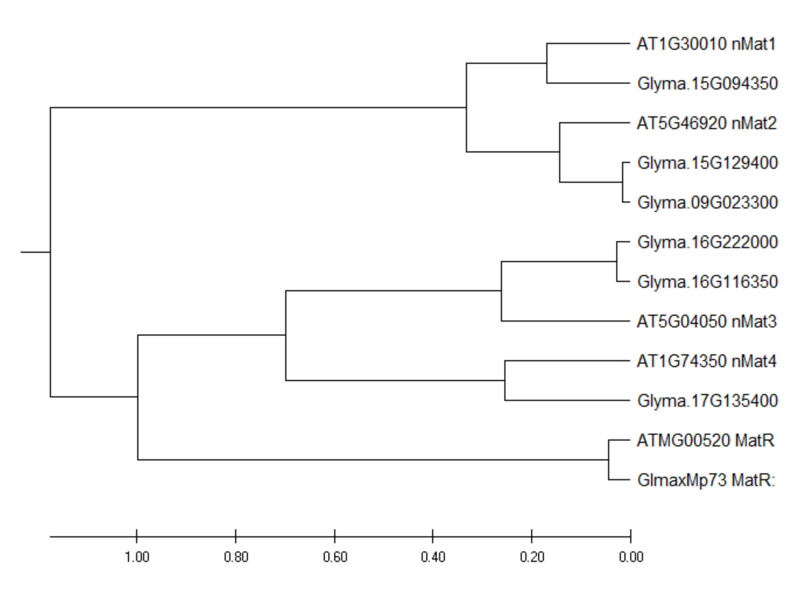 Differential RNA Editing and Intron Splicing in Soybean