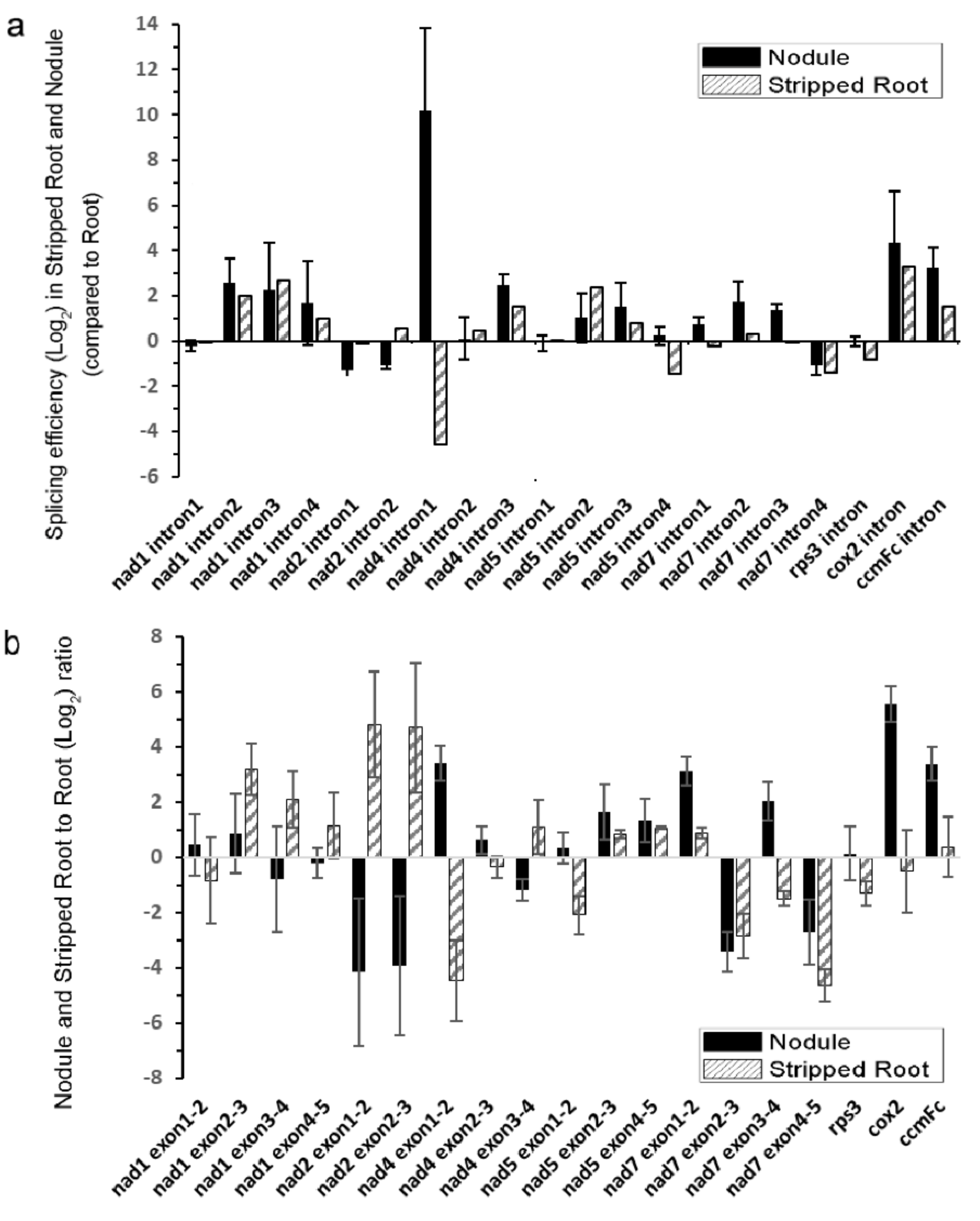 Ijms 21 09378 g003 Ijms 21 09378 g003