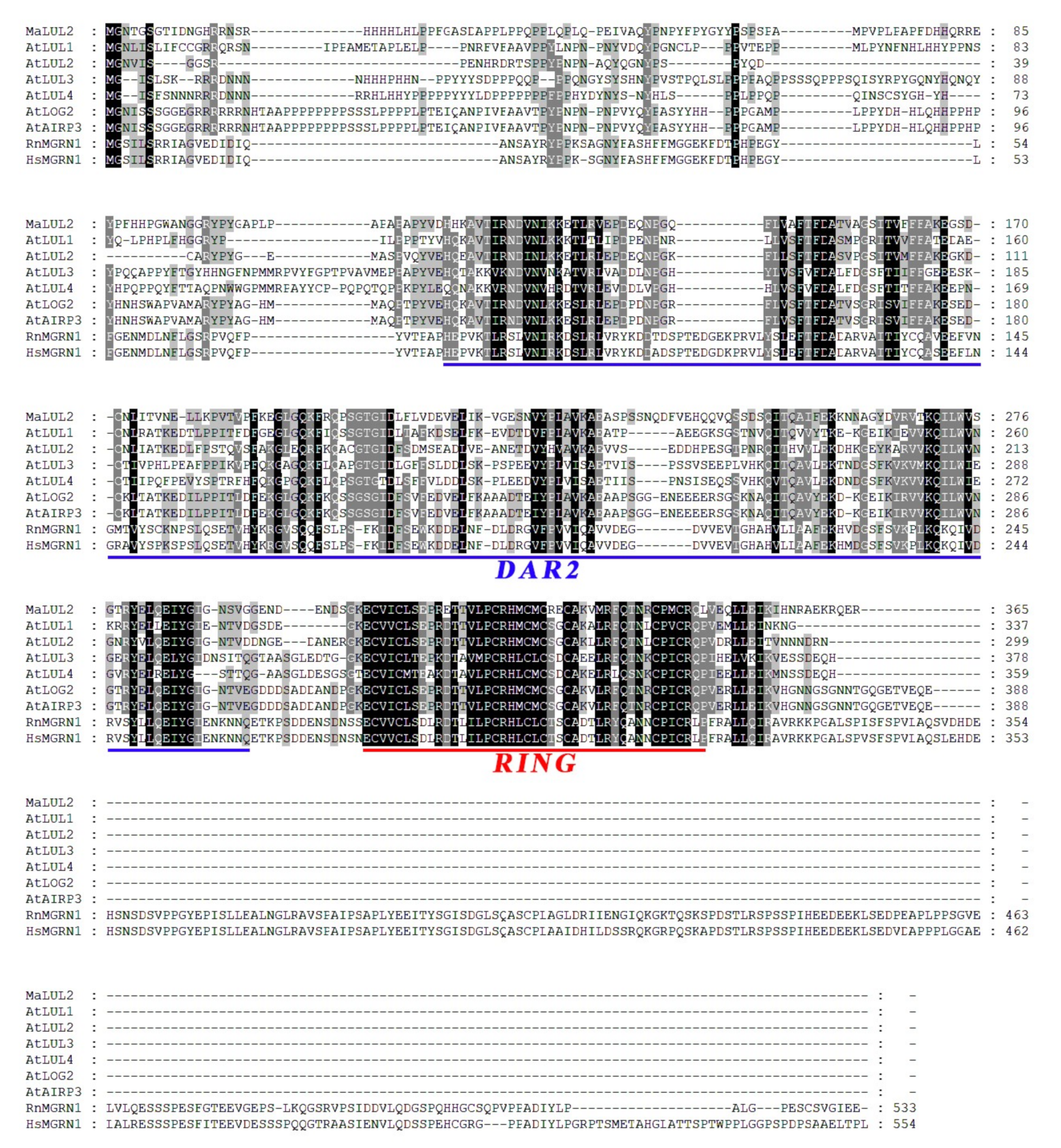 Ijms 21 09386 g002 Ijms 21 09386 g002