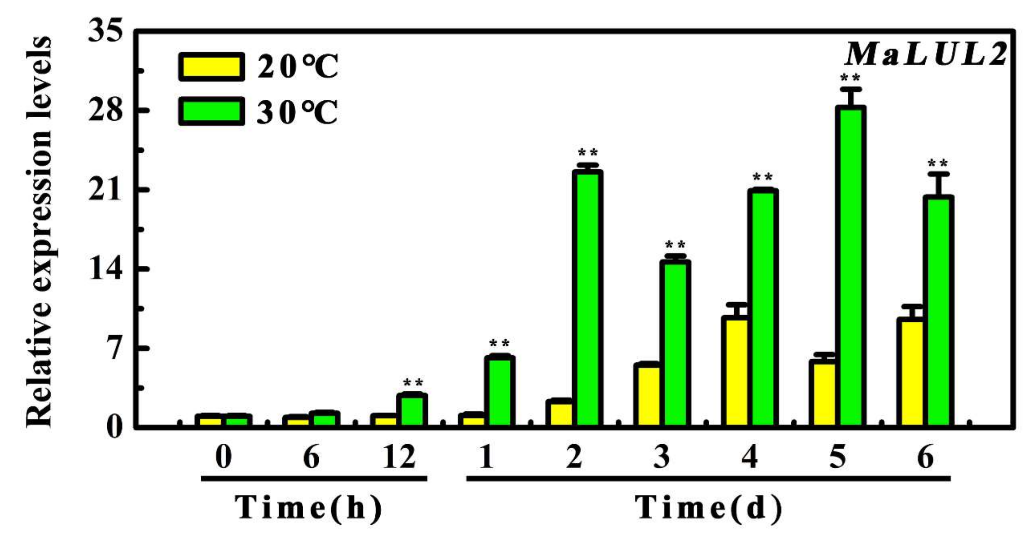 Ijms 21 09386 g003 Ijms 21 09386 g003