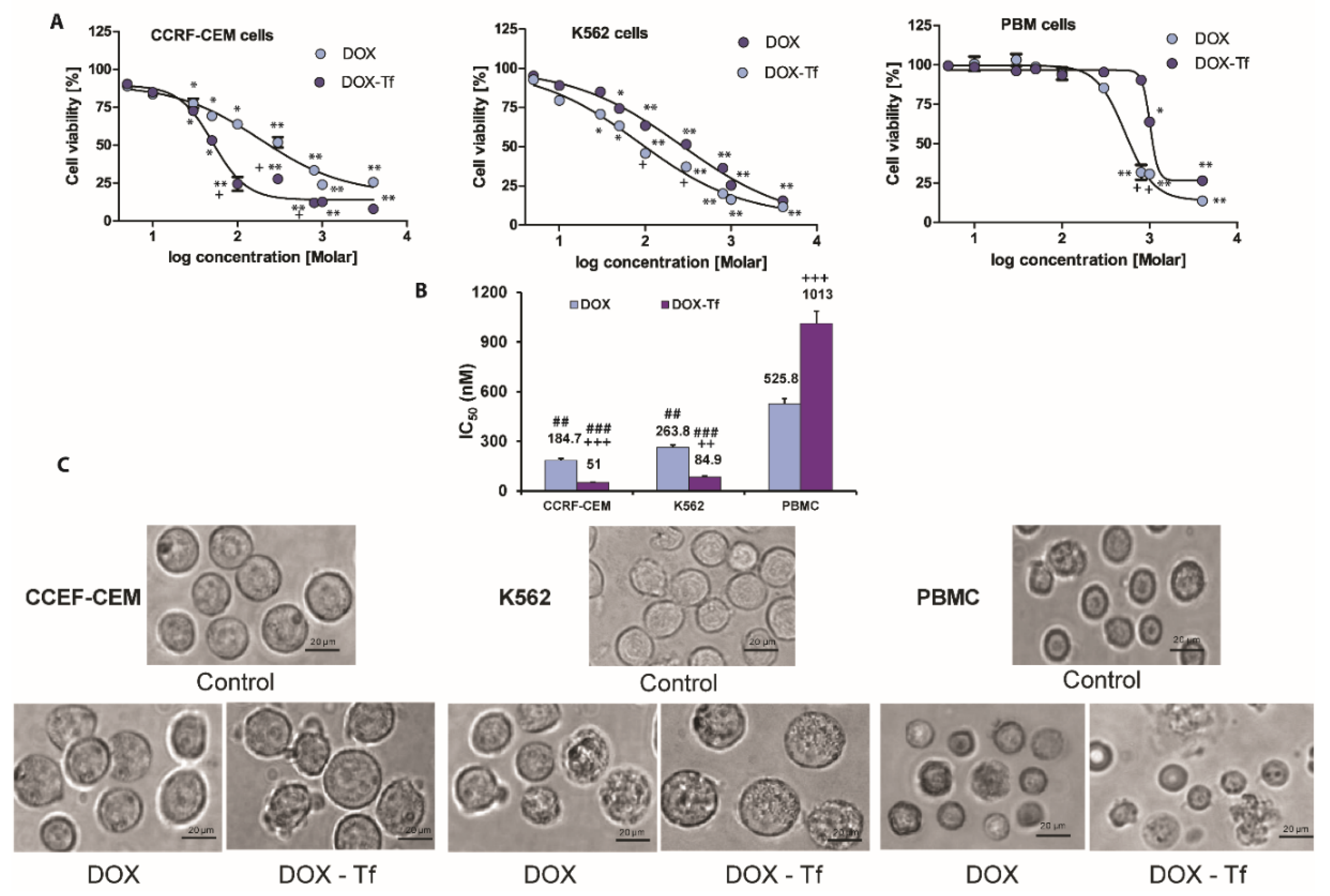 Ijms 21 09390 g001 Ijms 21 09390 g001
