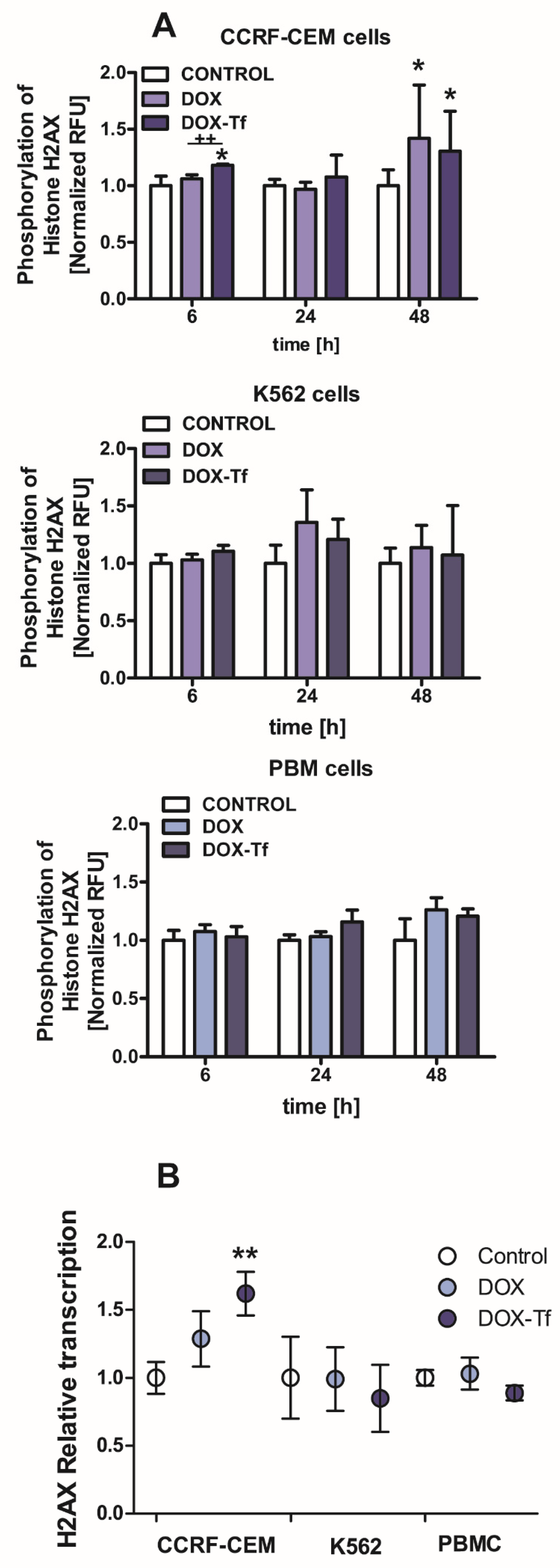 Ijms 21 09390 g002 Ijms 21 09390 g002