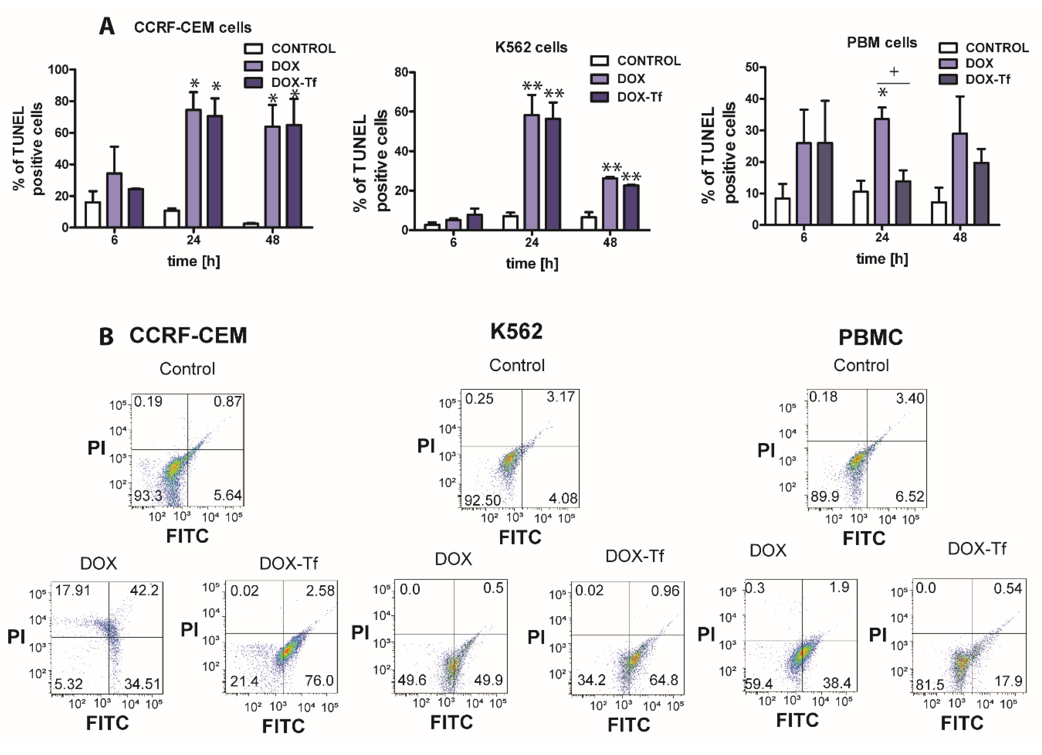 Ijms 21 09390 g003 Ijms 21 09390 g003