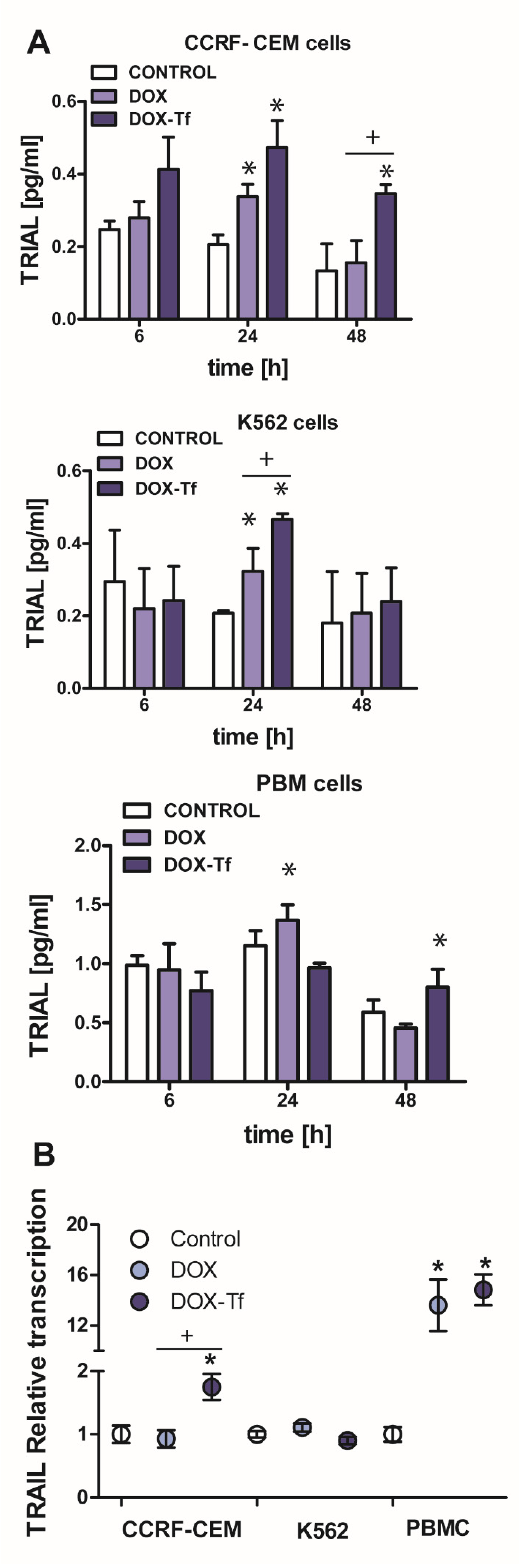 Ijms 21 09390 g004 Ijms 21 09390 g004