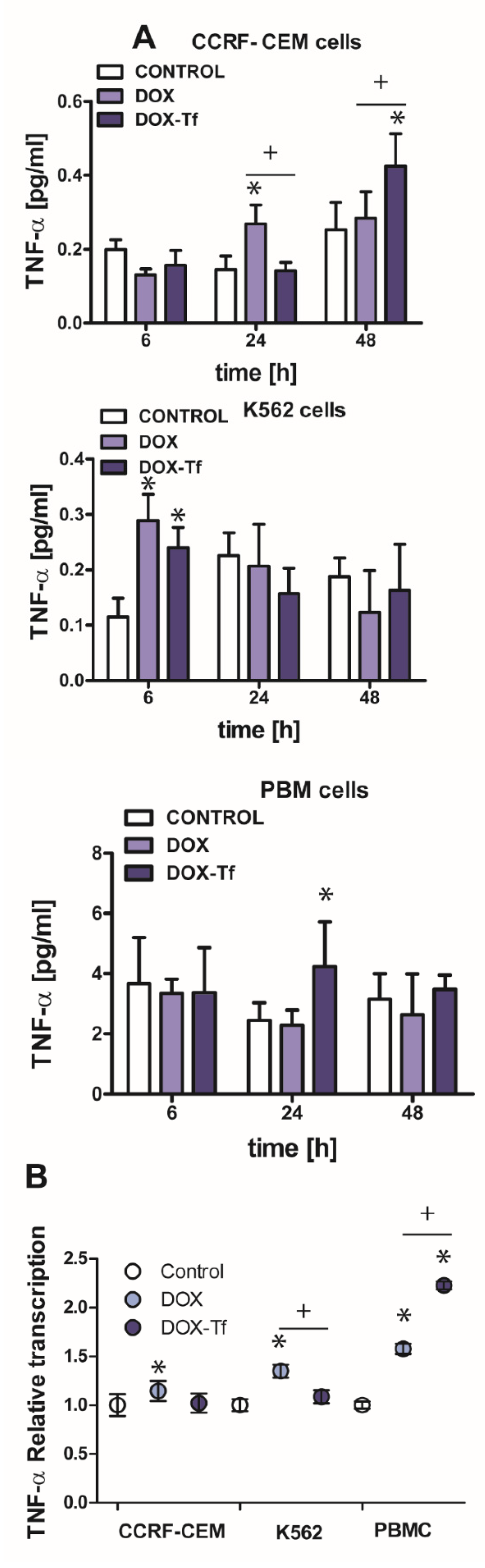 Ijms 21 09390 g005 Ijms 21 09390 g005